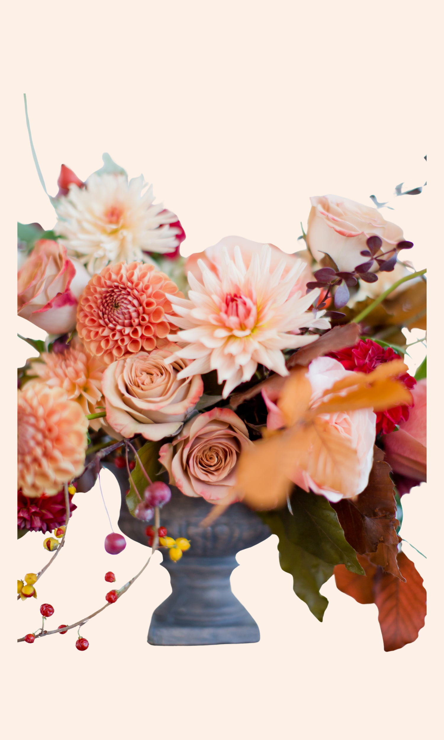 Pink Playful Coming Soon Facebook Post (19).png