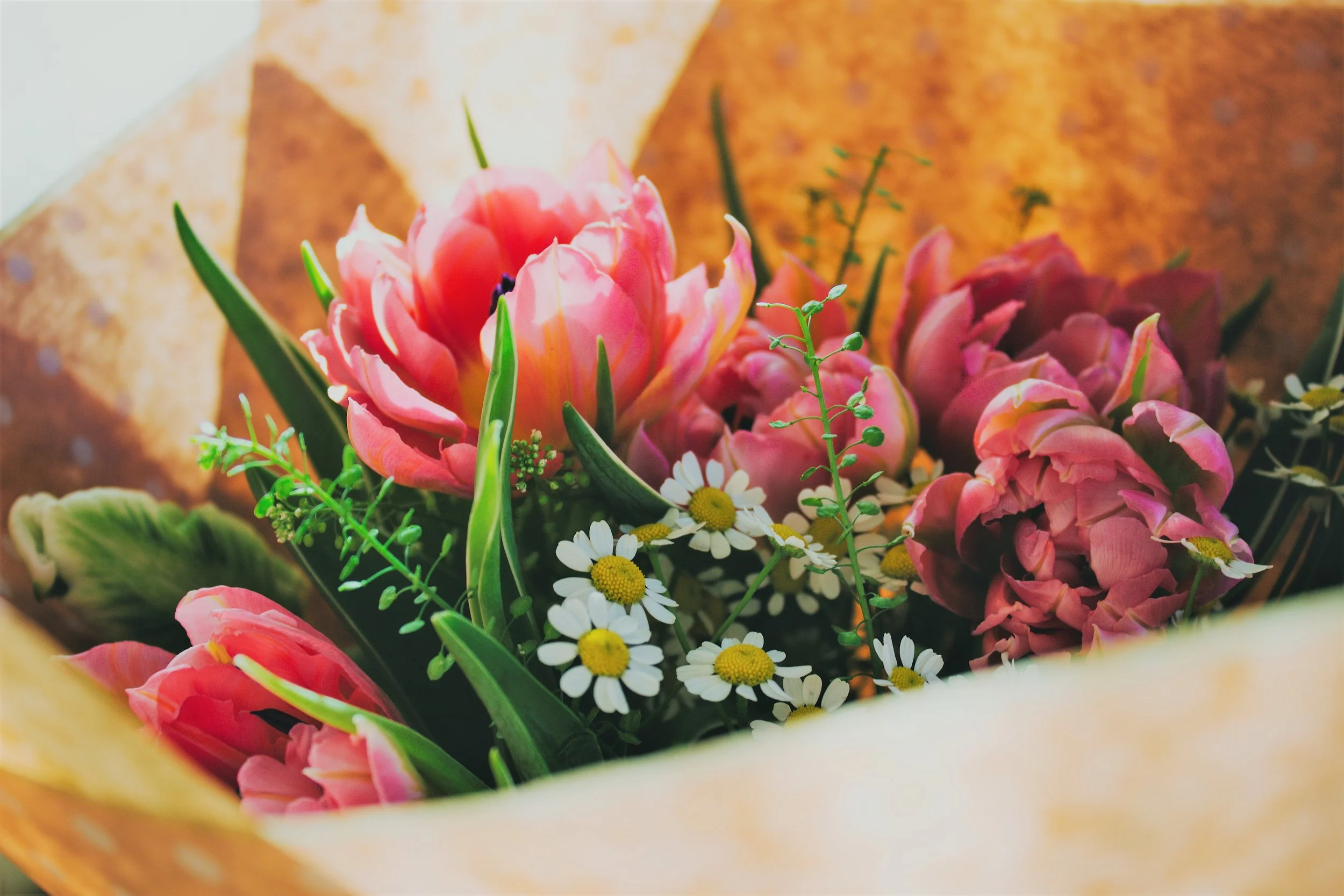iStock-1137146852.jpg