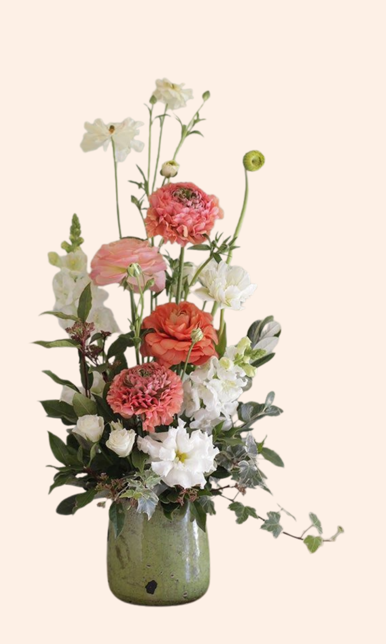 Wildly Yours | Designers Choice