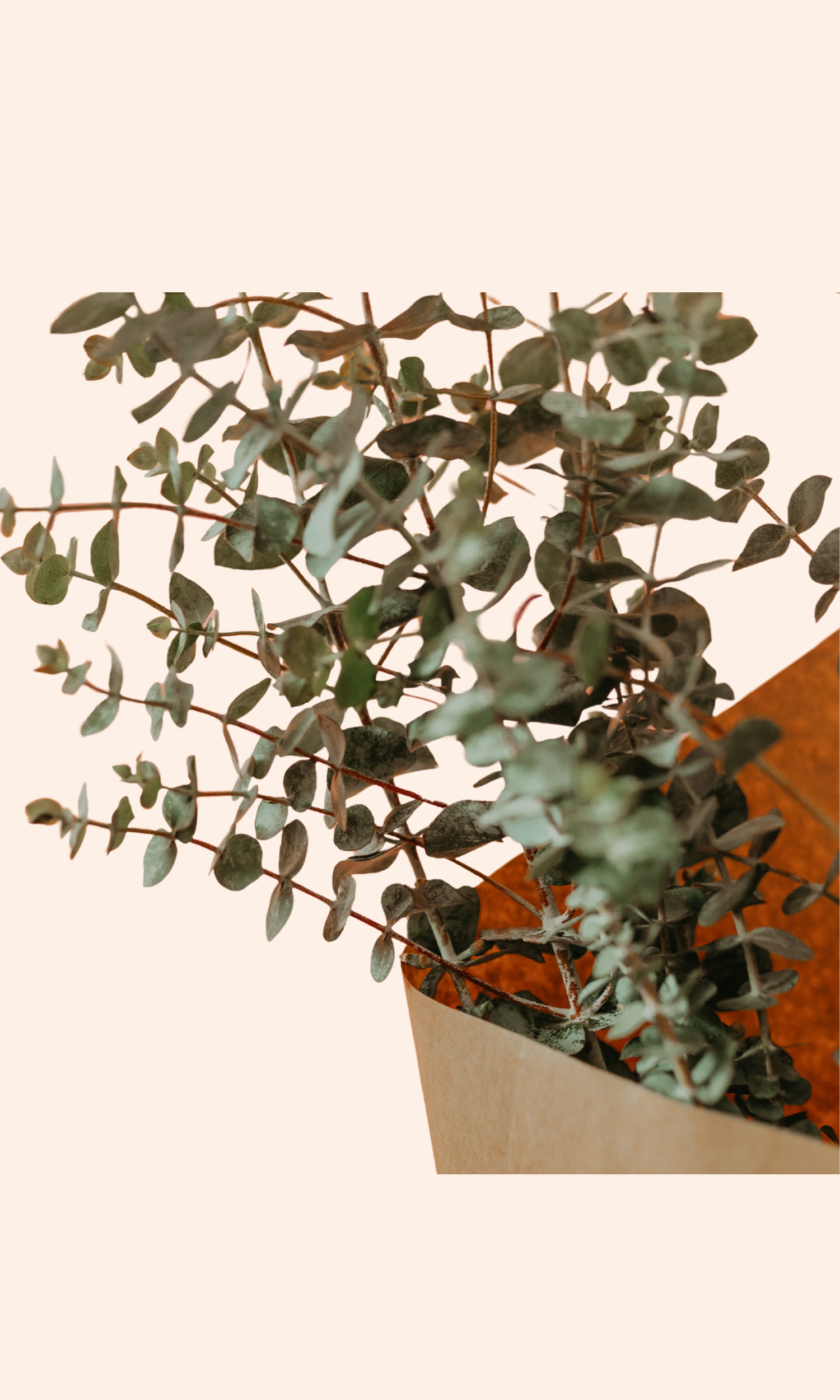 Pink Playful Coming Soon Facebook Post (37).png