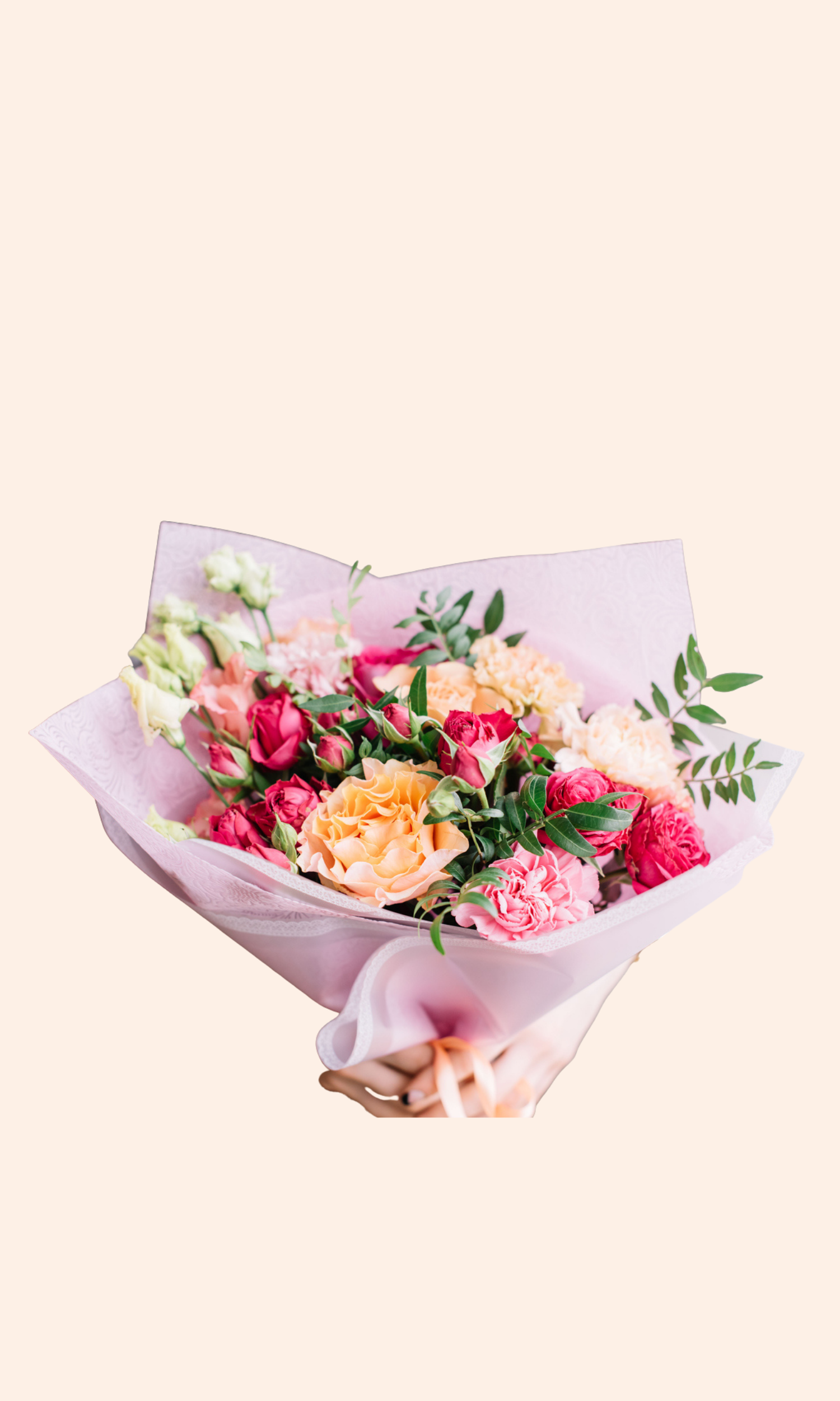 Haus Darling | Designers Choice