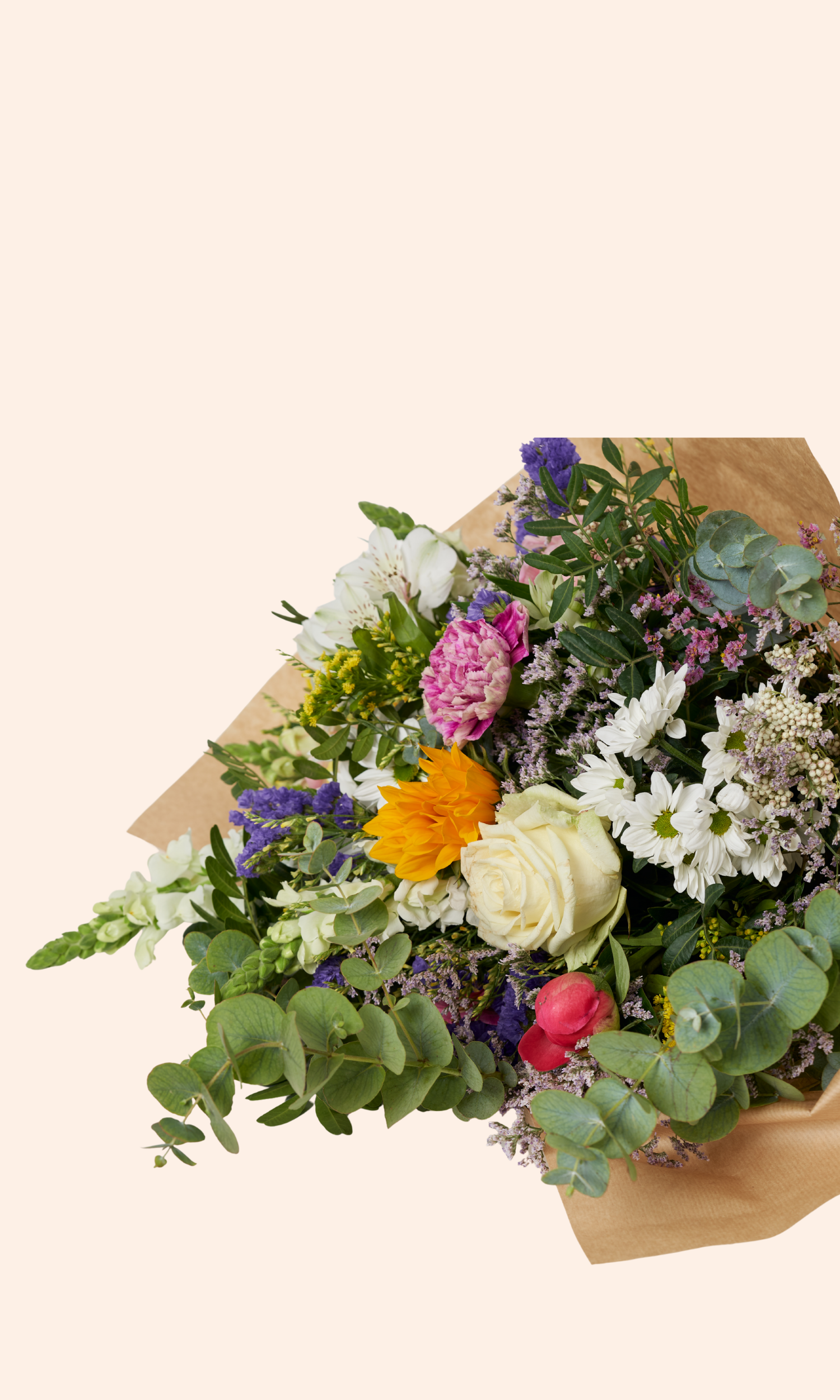 Pink Playful Coming Soon Facebook Post (20).png