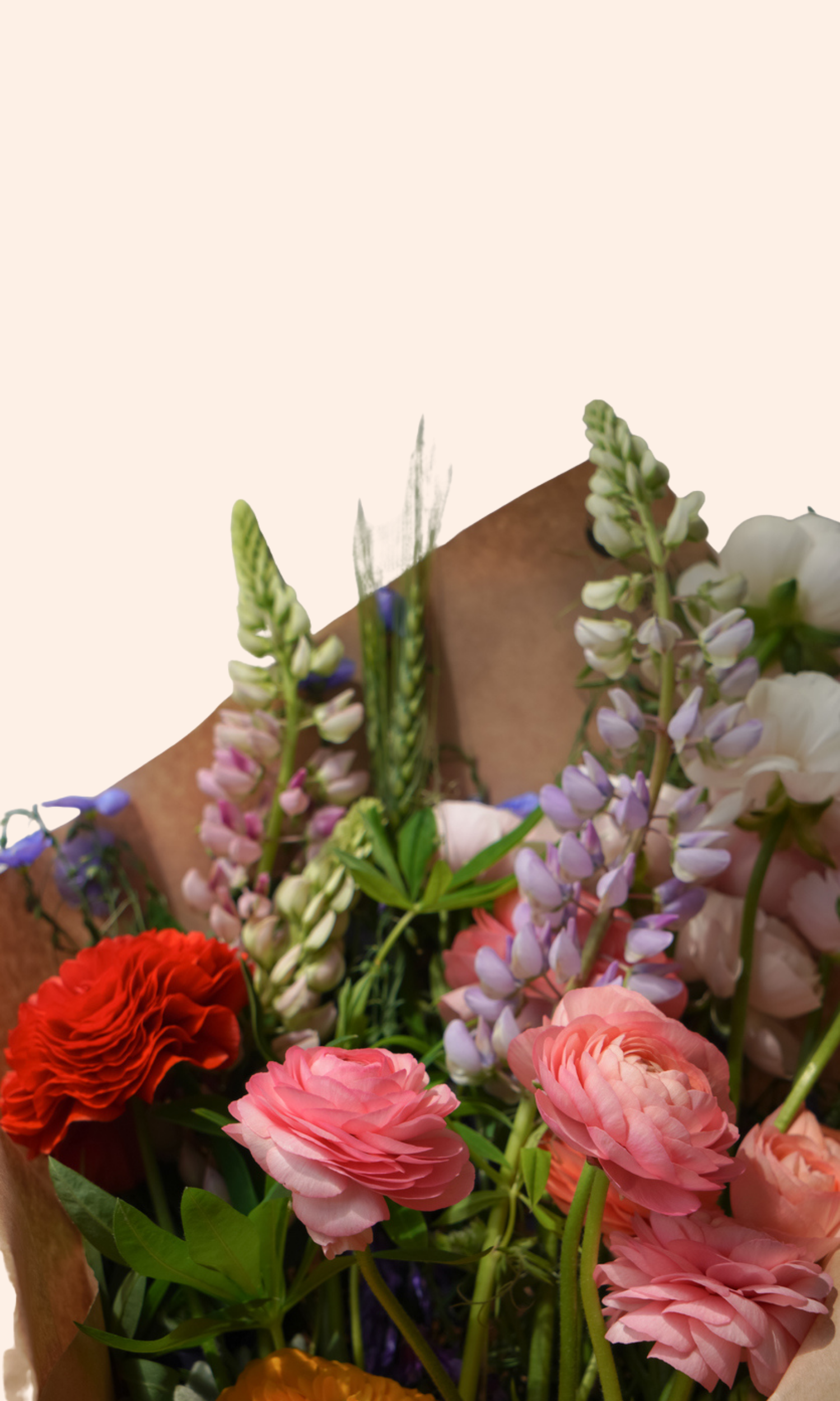 Pink Playful Coming Soon Facebook Post (78).png