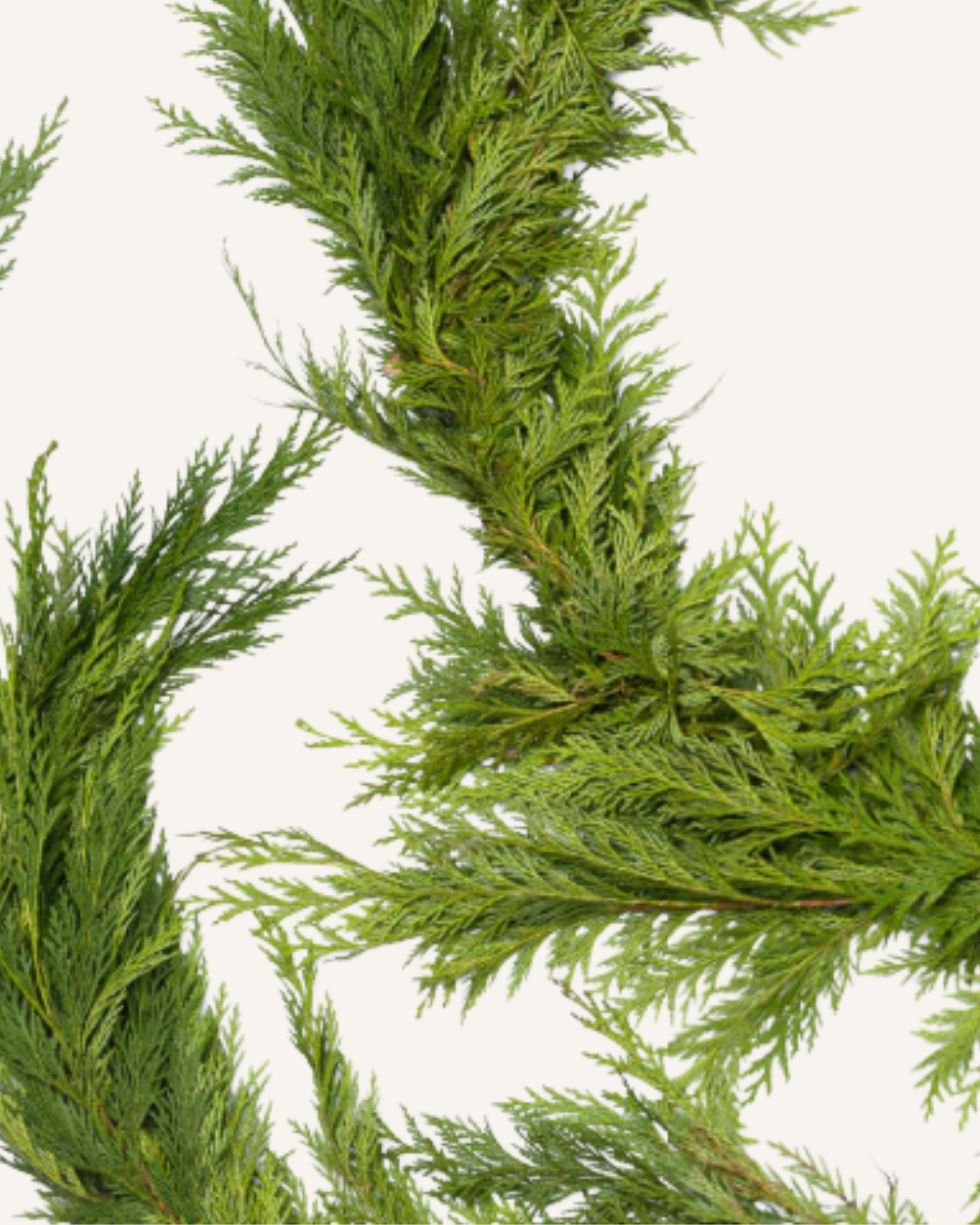 Garland