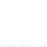 Property Damage Consultation