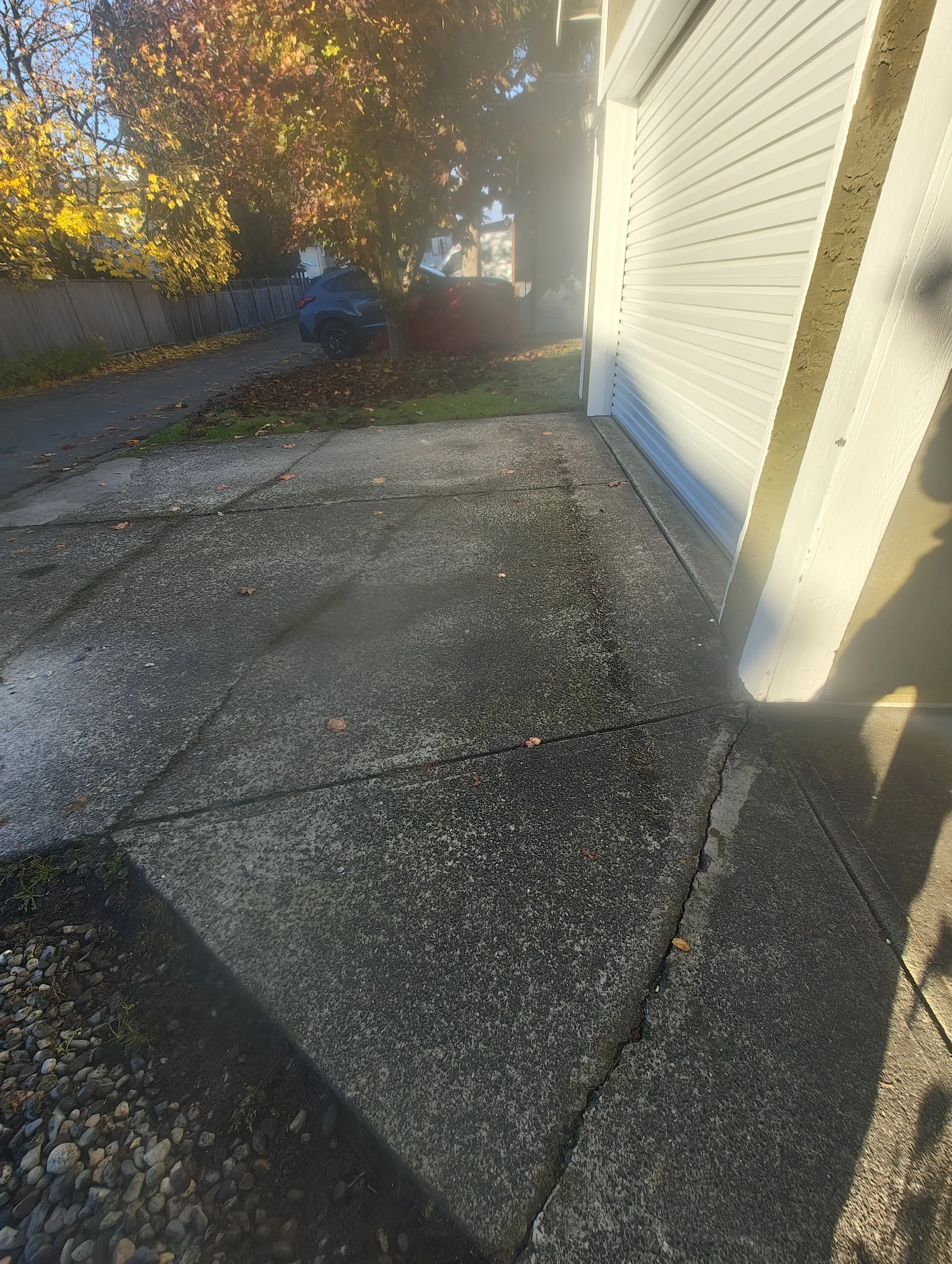 IMG_20251104_083243643.jpg