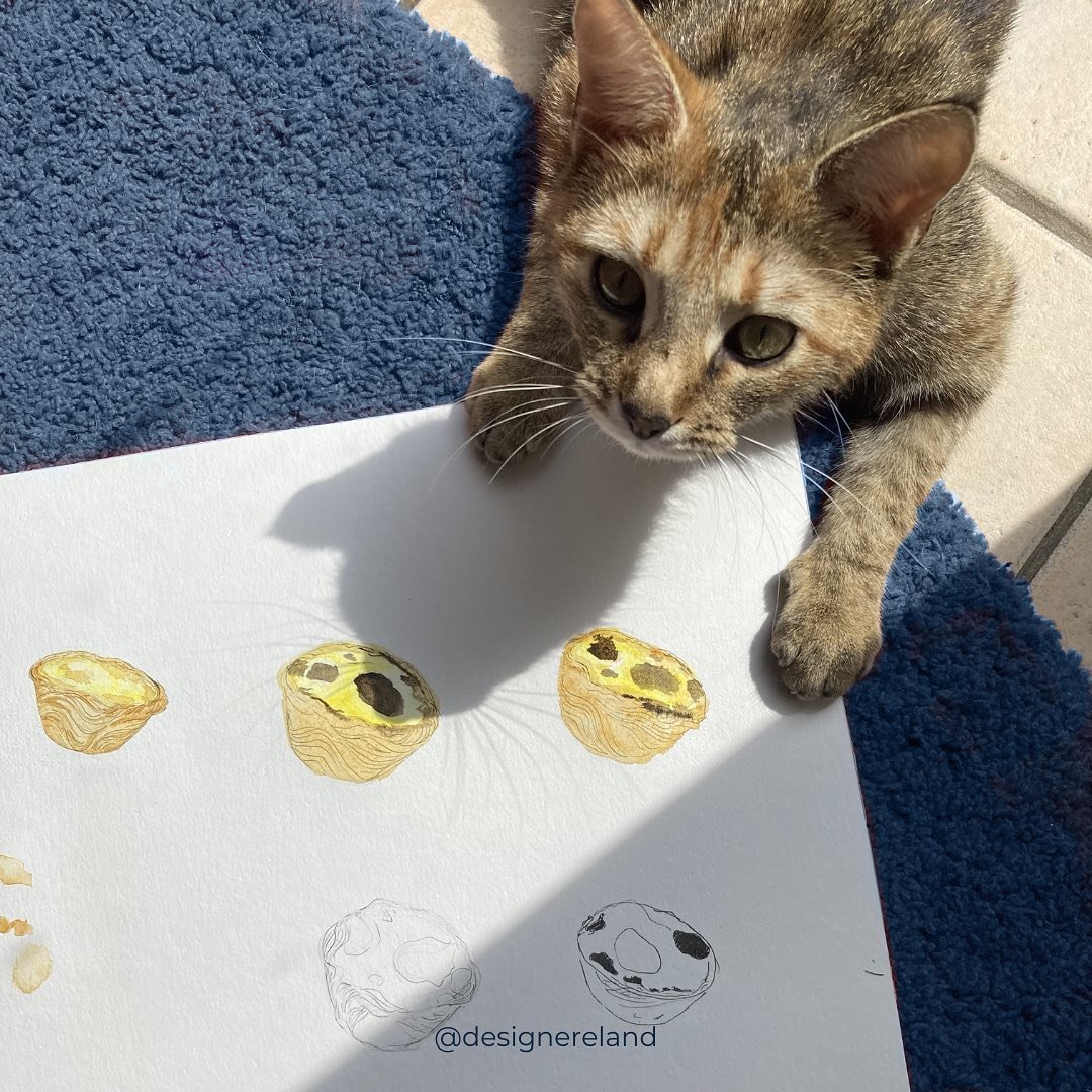 🎨✨Crafting the Pastel de Nata logo for Hugo's Bakery in Lahinch was a treat! 😍 But I must admit, I never embark on a creative journey alone. 🐱💖 Meet my closest critique and cuddle companion - my cat! 🐾 Her tenderness keeps the creative juices fl