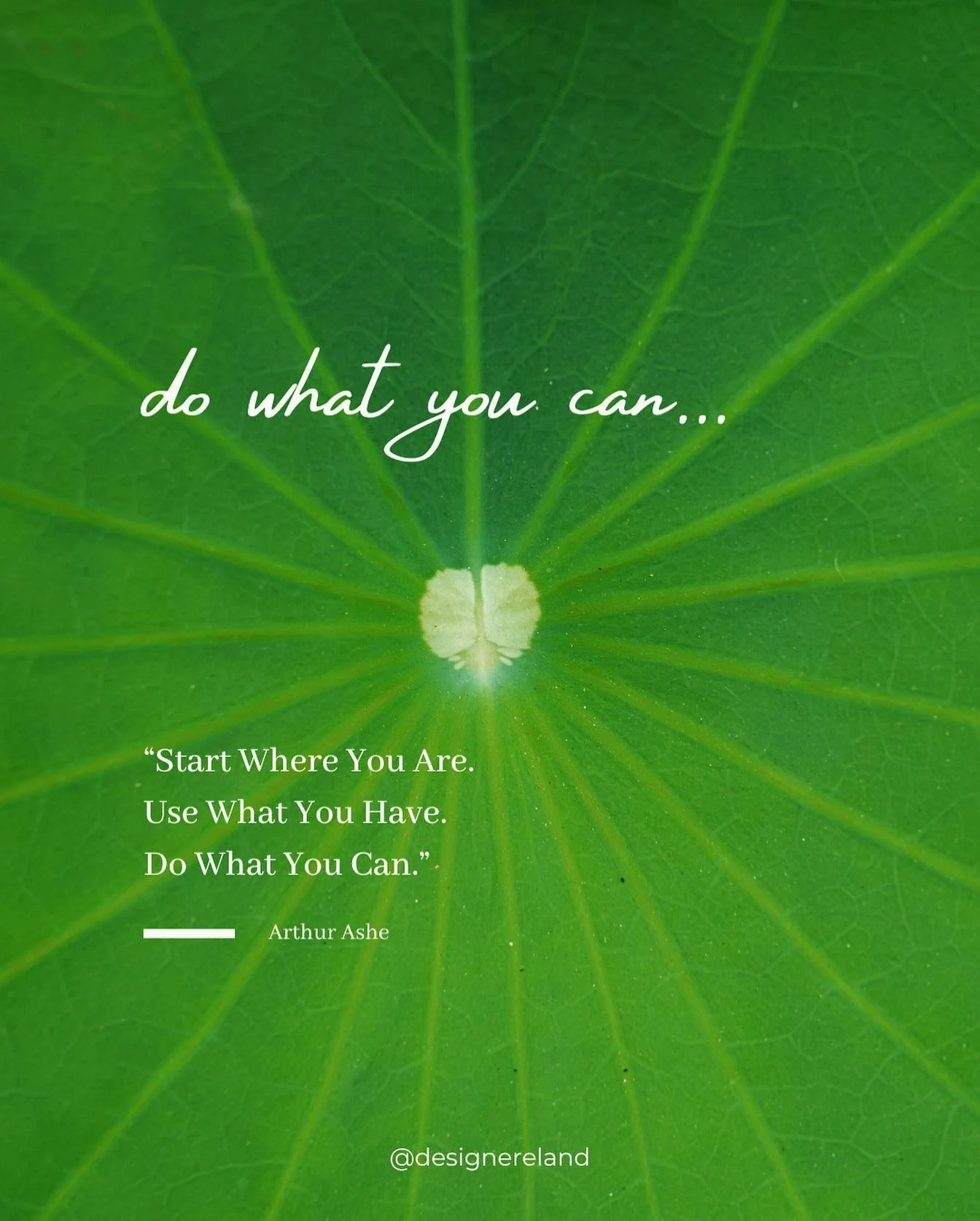 🌟 &hellip; the Wisdom of Arthur Ashe 🌟 'Start Where You Are. Use What You Have. Do What You Can.' 🚀&hellip; ✨ Just completed an incredible female entrepreneurship course this year, and I can highly recommend it to all female entrepreneurs in Count