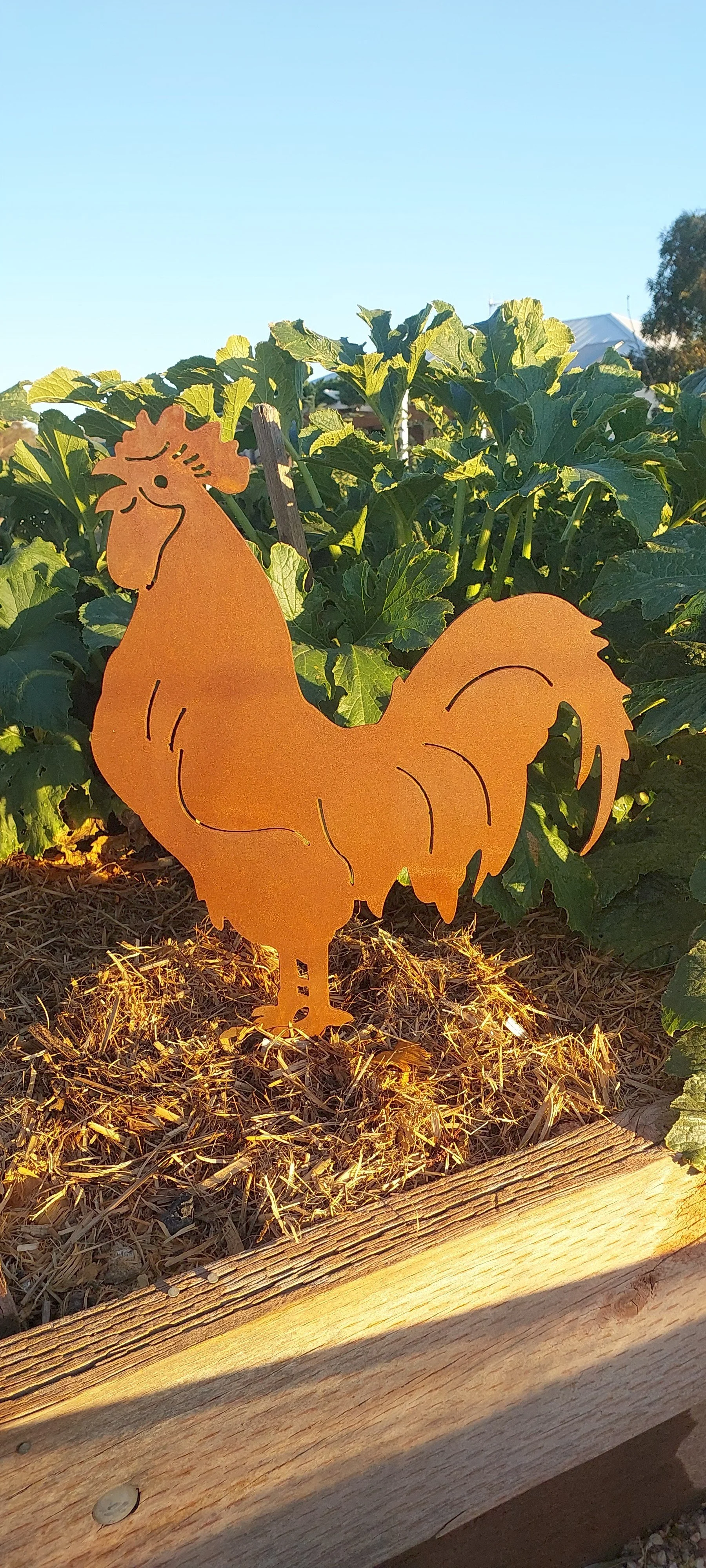 Rooster.jpg