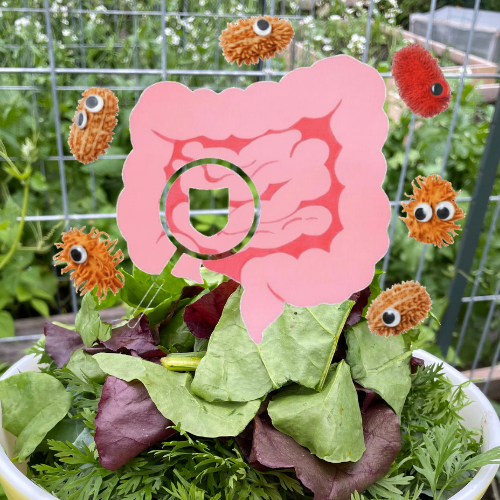 A garden with a paper cutout of human intestines attached to a plant, surrounded by fuzzy caterpillar toys with googly eyes, set against a metal fence and other greenery.