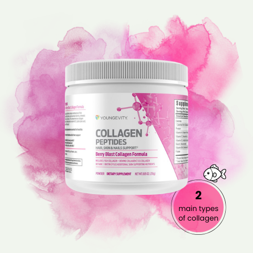 Container of Youngevity Collagen Peptides supplement with pink watercolor background and a small fish illustration indicating two main types of collagen.