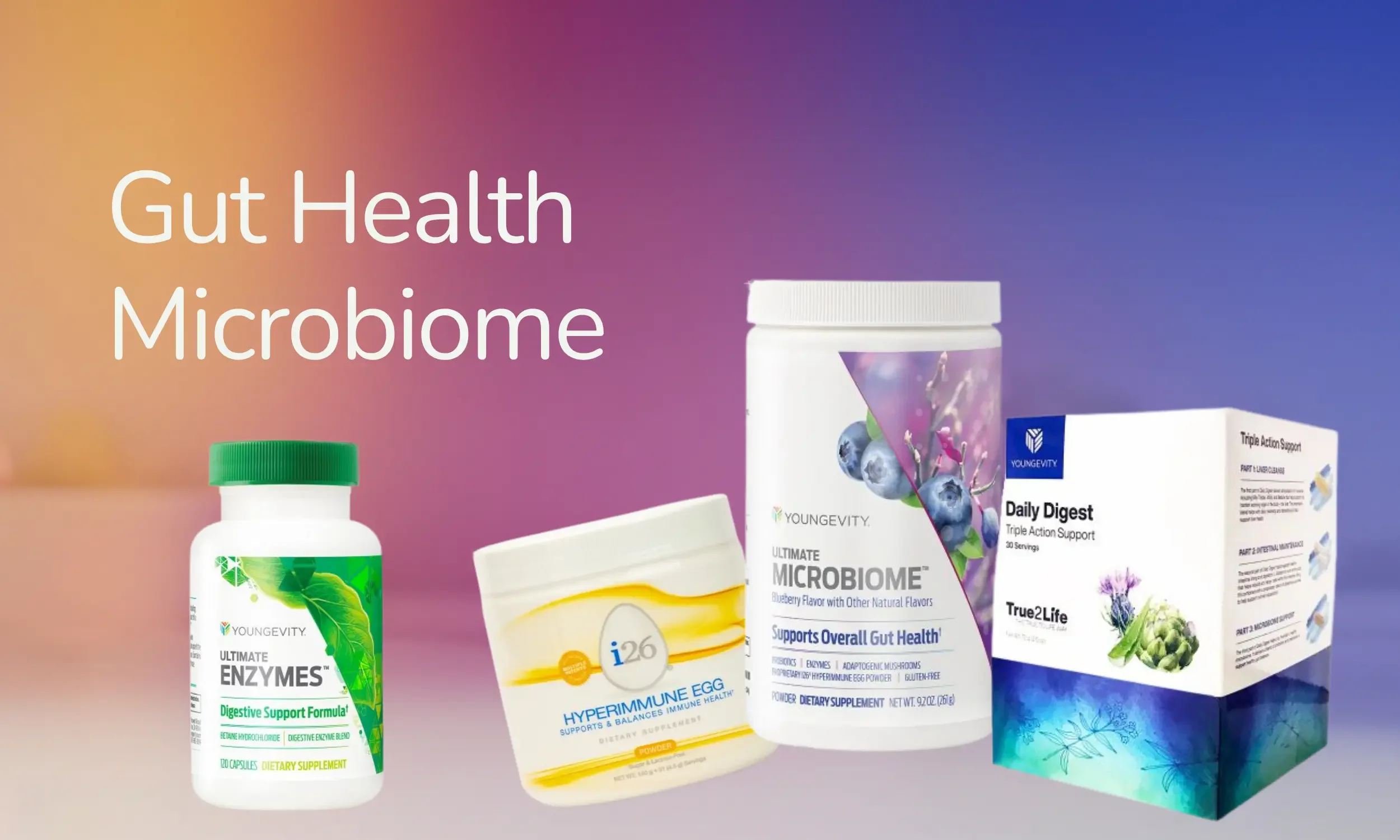 Various dietary supplements including a bottle of Enzymes, a box of Hyperimmune Egg, a box of Daily Digest probiotic, and a box of True2Life Triple Action Support, with a background displaying the words 'Gut Health Microbiome'.