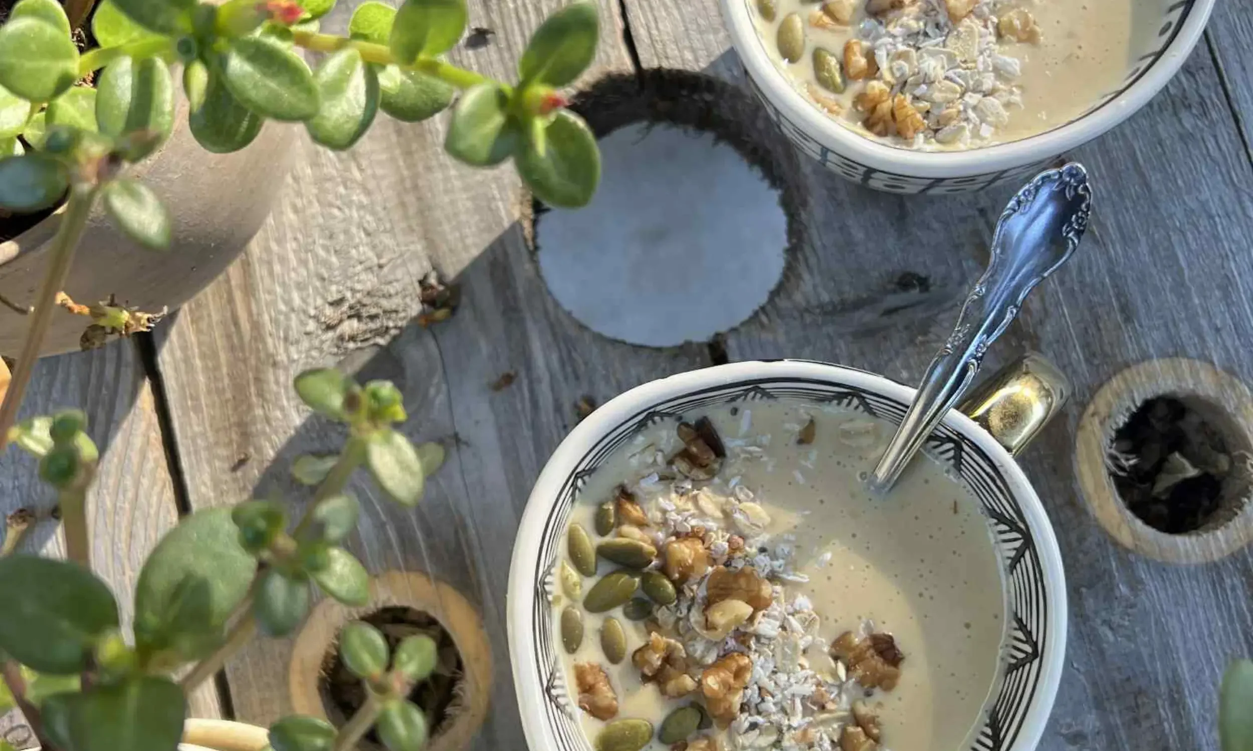 Two white bowls with black patterns filled with oat and seed mixture, placed on a wooden surface. A silver spoon is in one bowl, and a potted succulent plant with green leaves is nearby.
