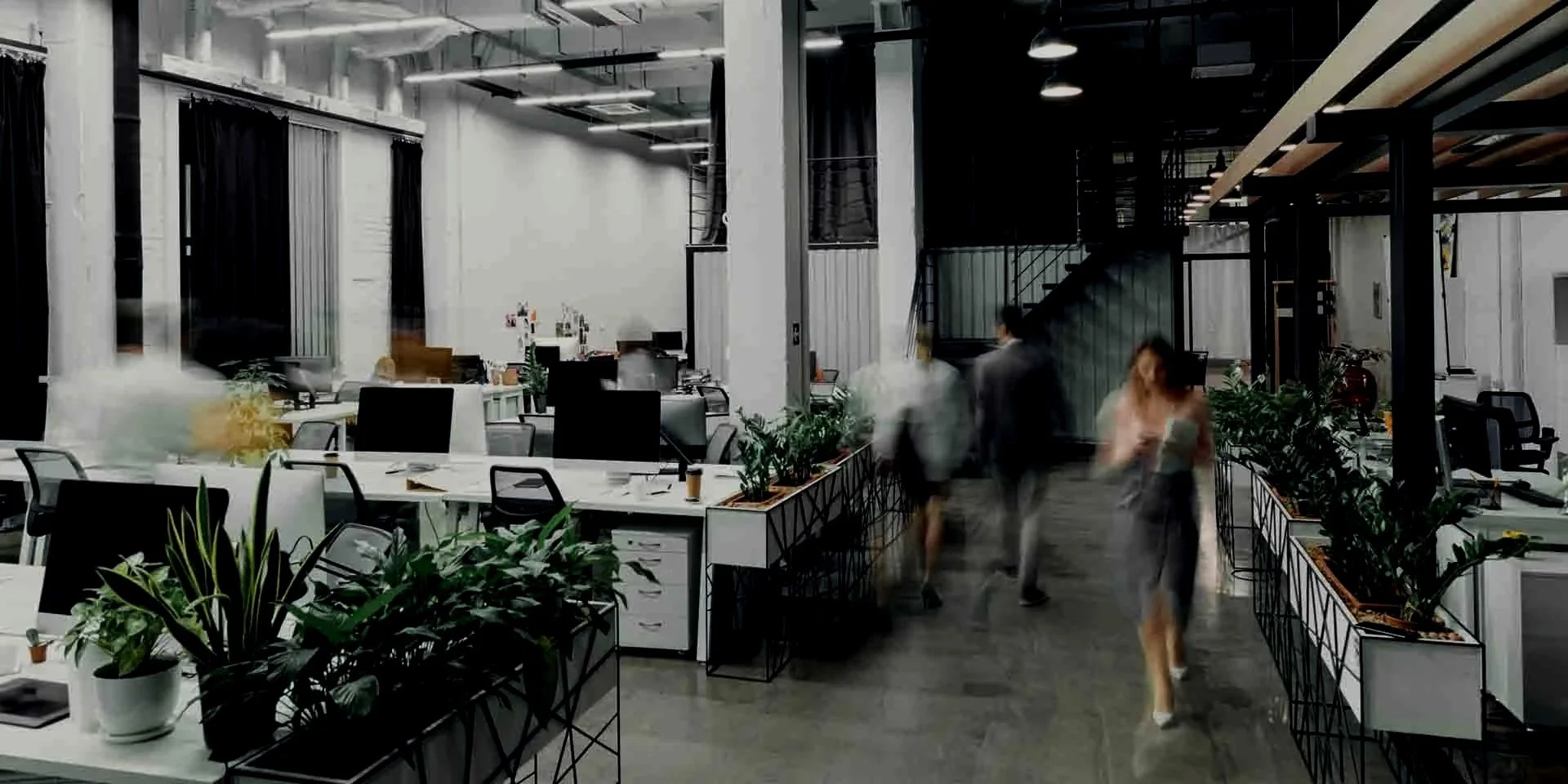 Modern open-plan office with white desks, black chairs, green plants, and people walking through the space.