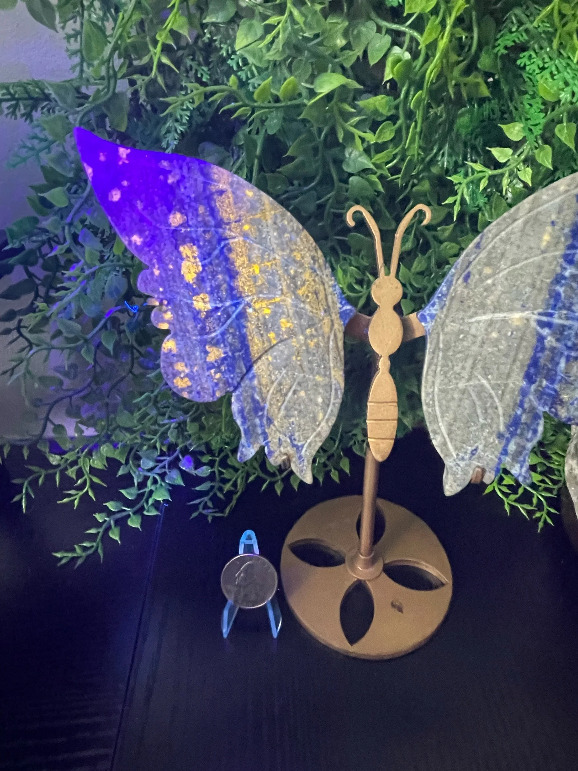 Lapis Lazuli Butterfly Wings