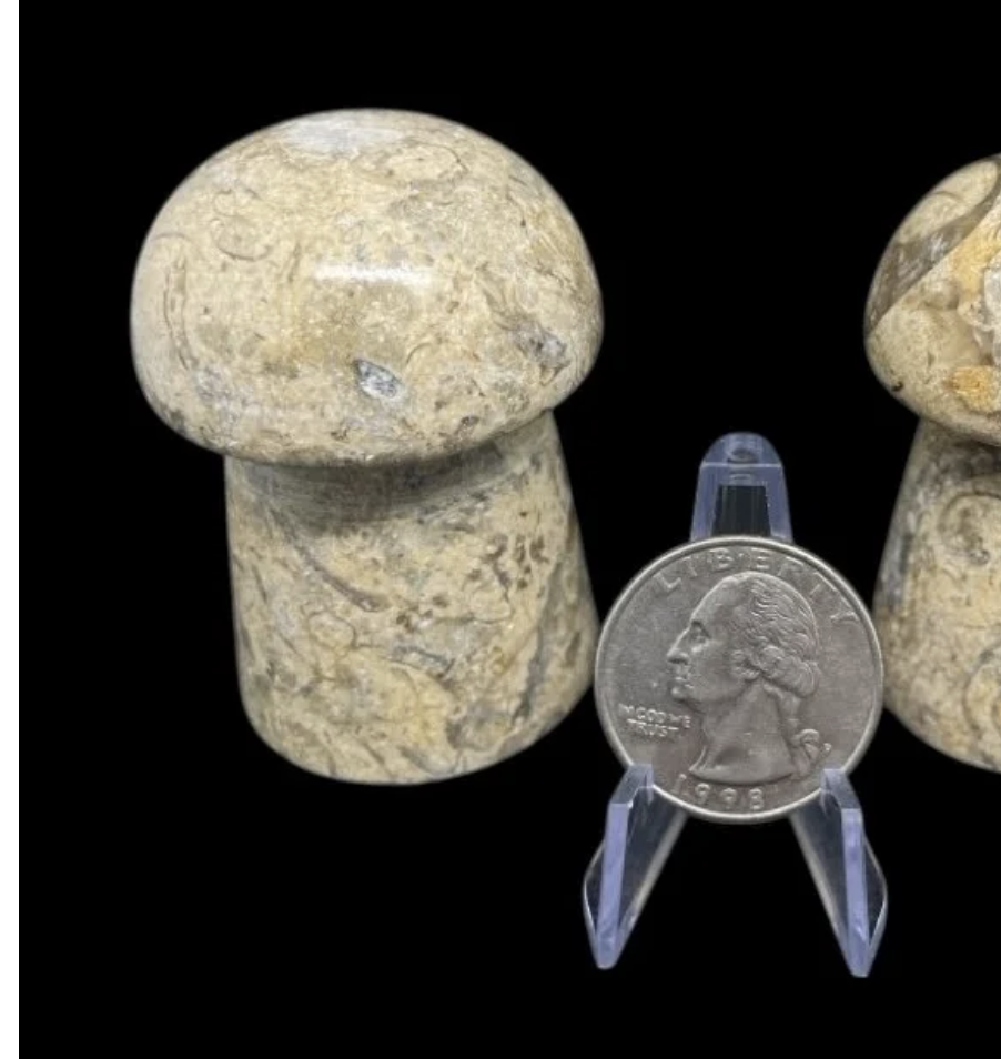 Mushroom Crystal Carving