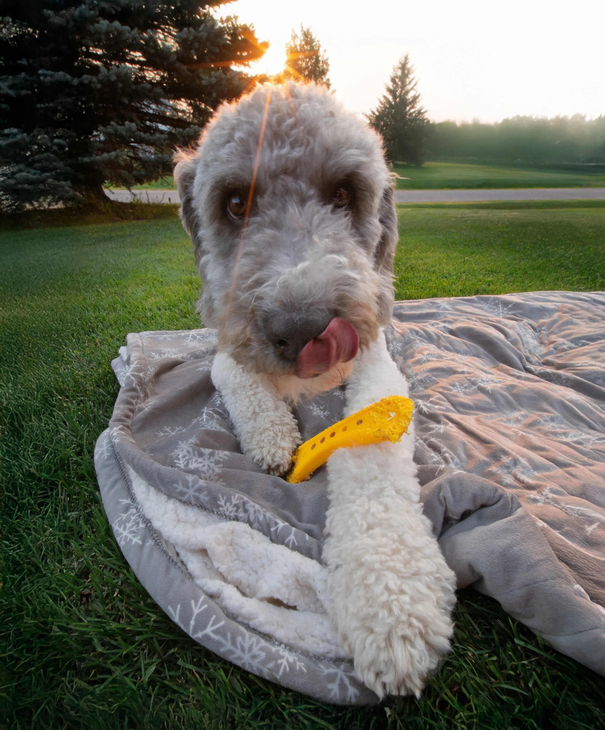 DSC05276-Edit-Edit.jpg