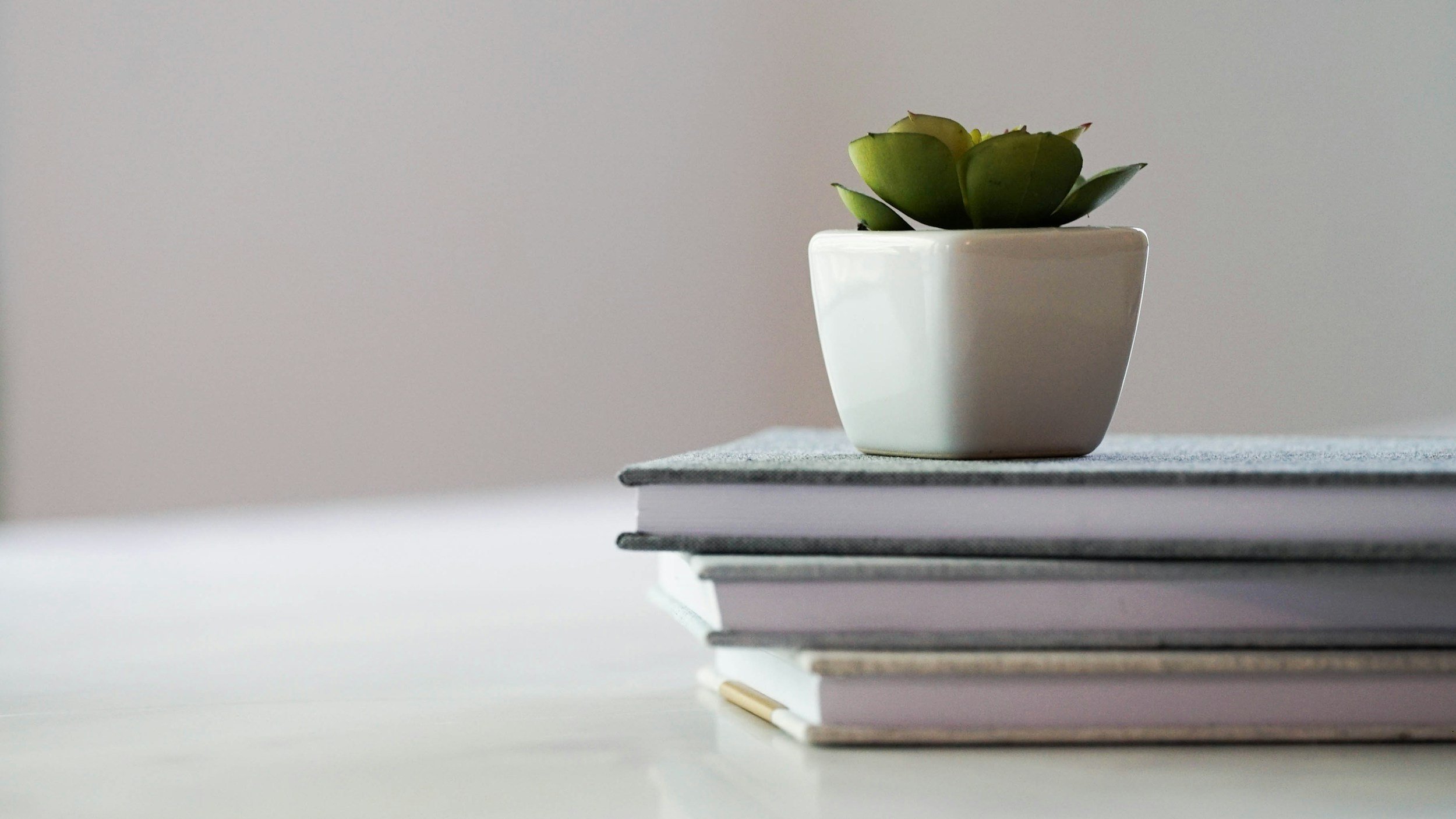 A small succulent plant in a white square pot placed on top of a stack of four books or notebooks with light-colored covers on a white surface against a plain light-colored wall.