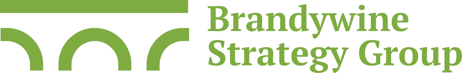 Brandywine Strategy Group