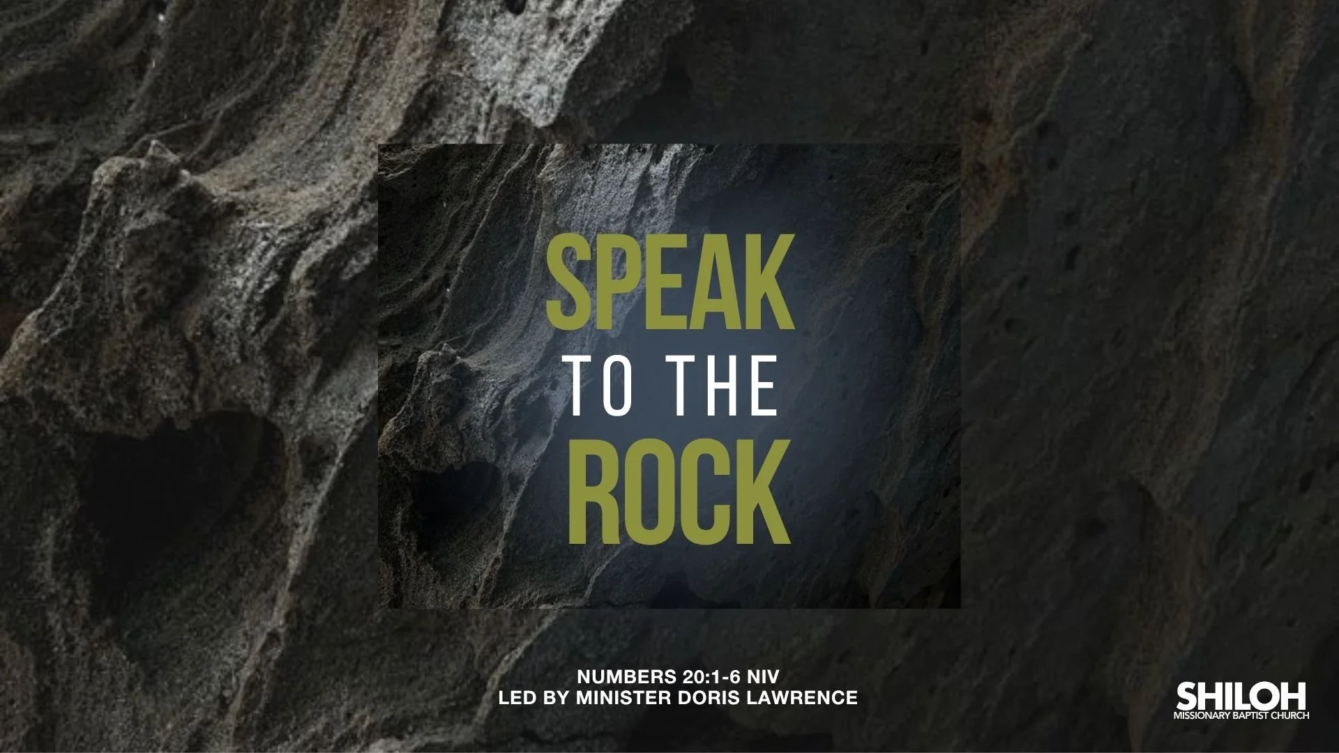 Speak to the Rock | March 25 Bible Study