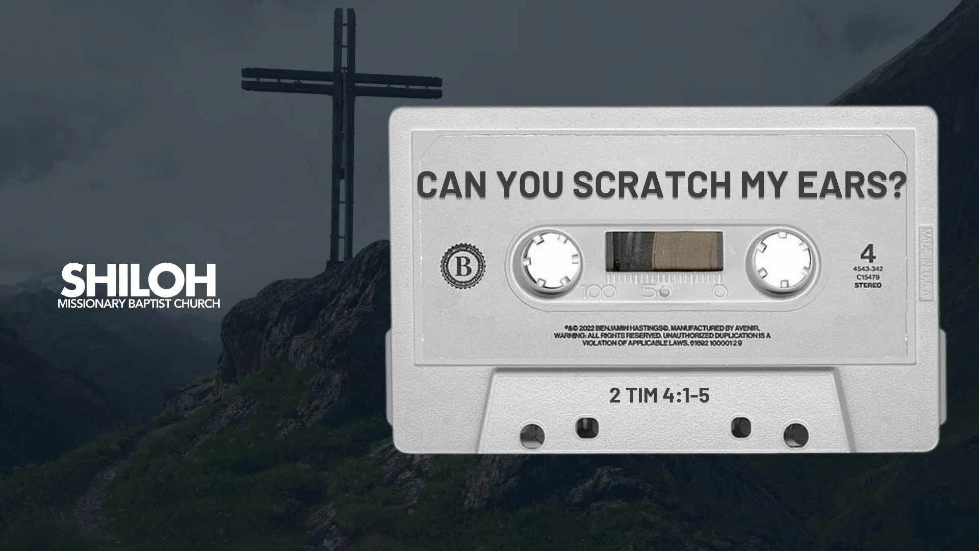 Can You Scratch My Ear? | September 13