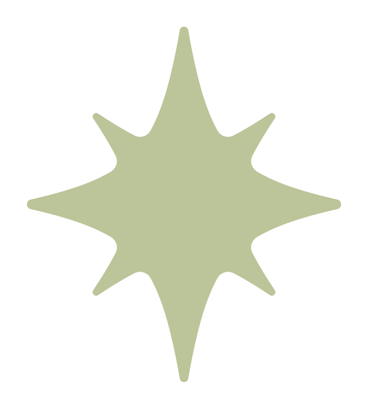 A simplified graphic of a starburst shape with eight points in a light green color.