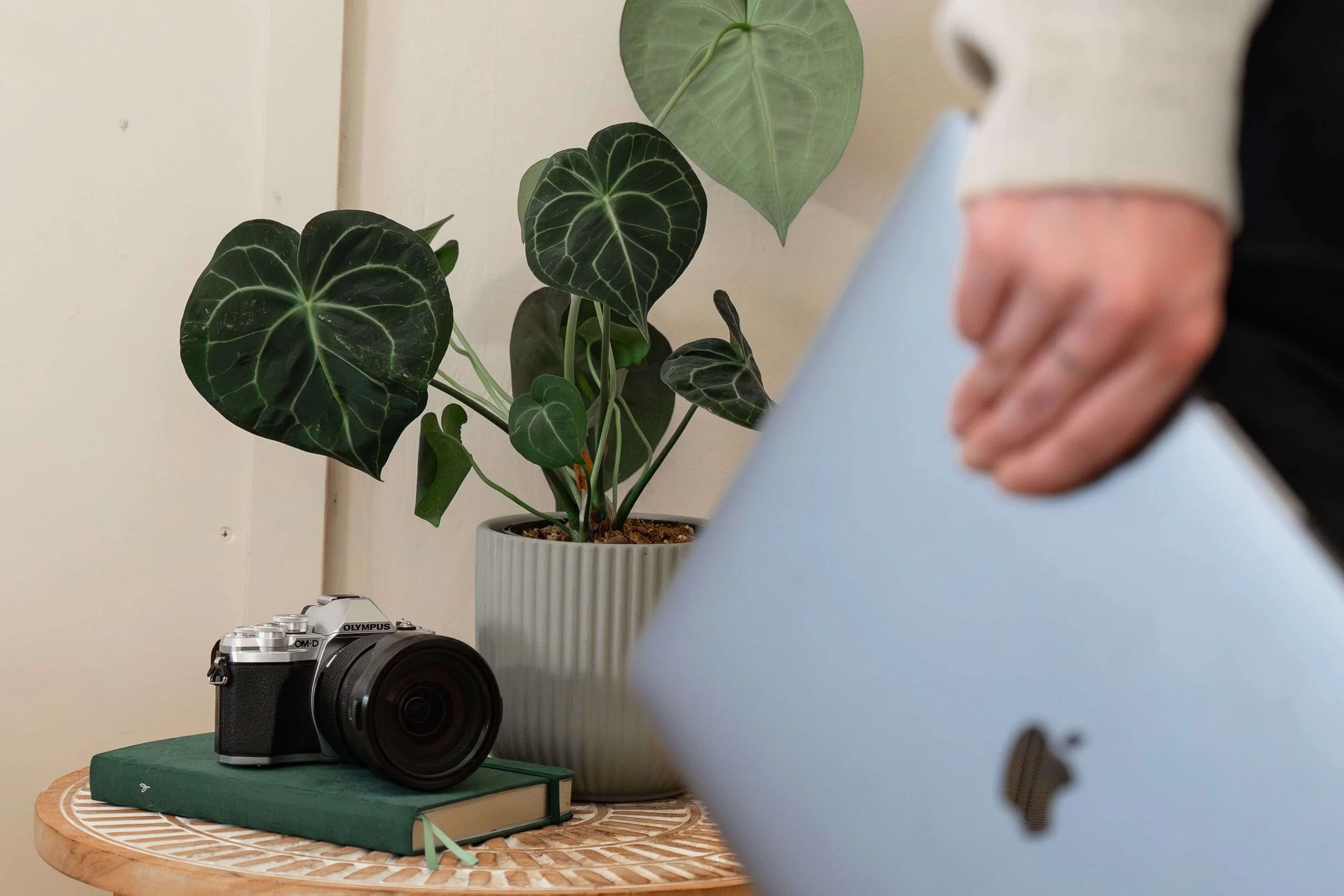 A potted plant with large, dark green, heart-shaped leaves sitting on a table with a camera placed in front of it. The background is a plain off-white wall.