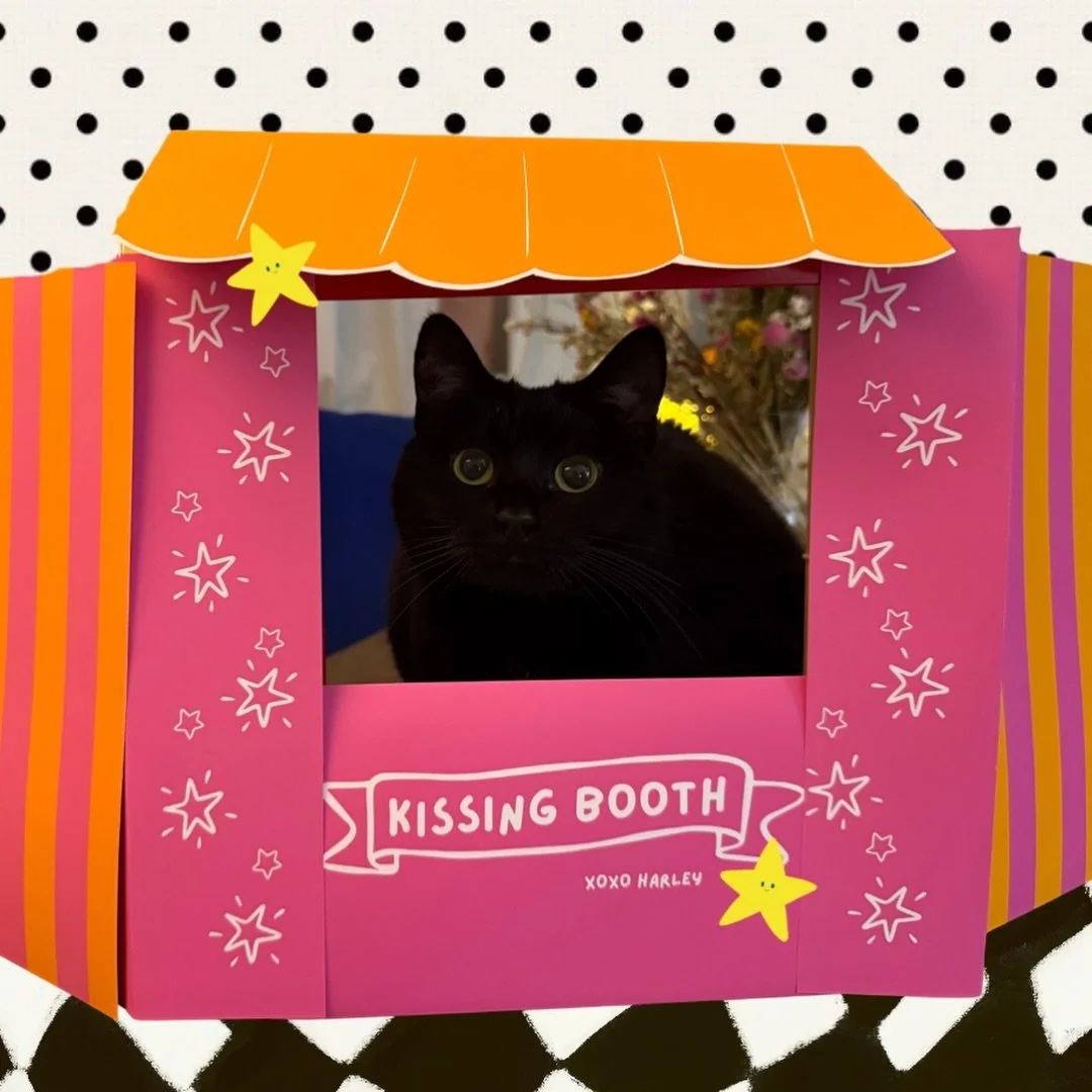 Reason 588492 why I love creativity + free will: A 10pm creation of a kissing booth for Harley 💕🤪