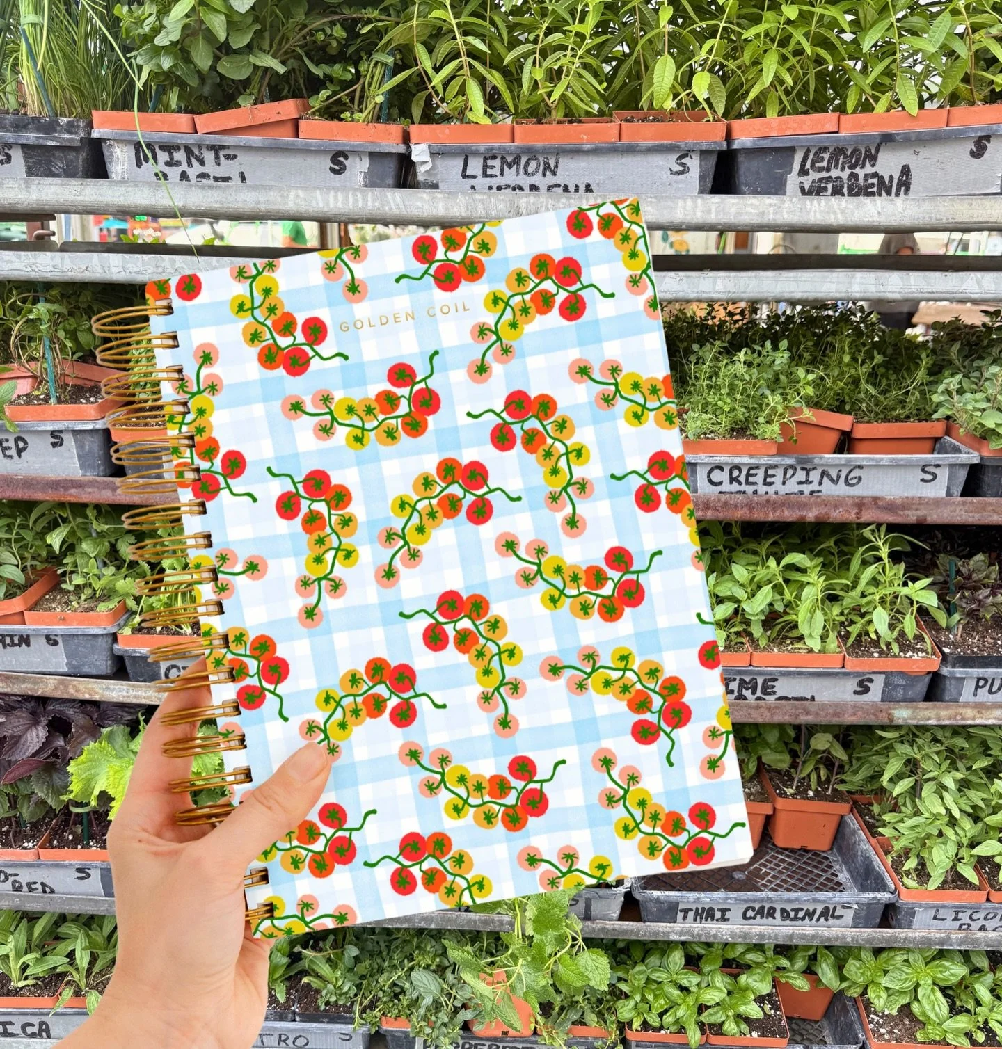 I&rsquo;m ready for summer tomato season (and honestly just for winter to end!) 🍅

My submission for the 2026 @golden.coil planner contest. Inspired by farmers market strolls and crisp summer days!🍅

#gcxdesign26 #goldencoil #tomato