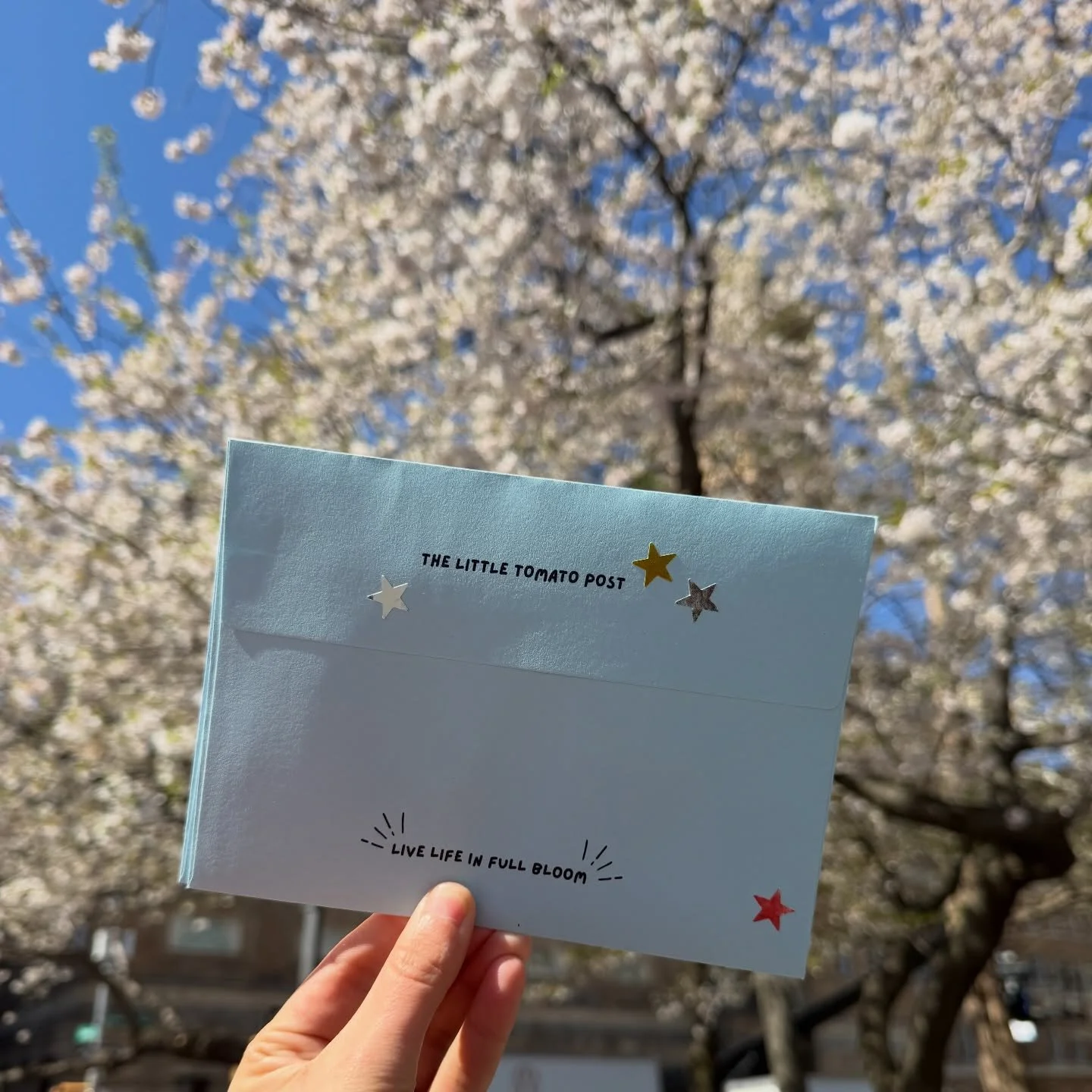 The Tiny Tomato Post was just mailed out for those signed up 🍅💫

If you like little art, cute stickers and whimsy delivered to your mail box sign up for my monthly happy mail club! $11 including shipping and you can get cute things sent to you ever