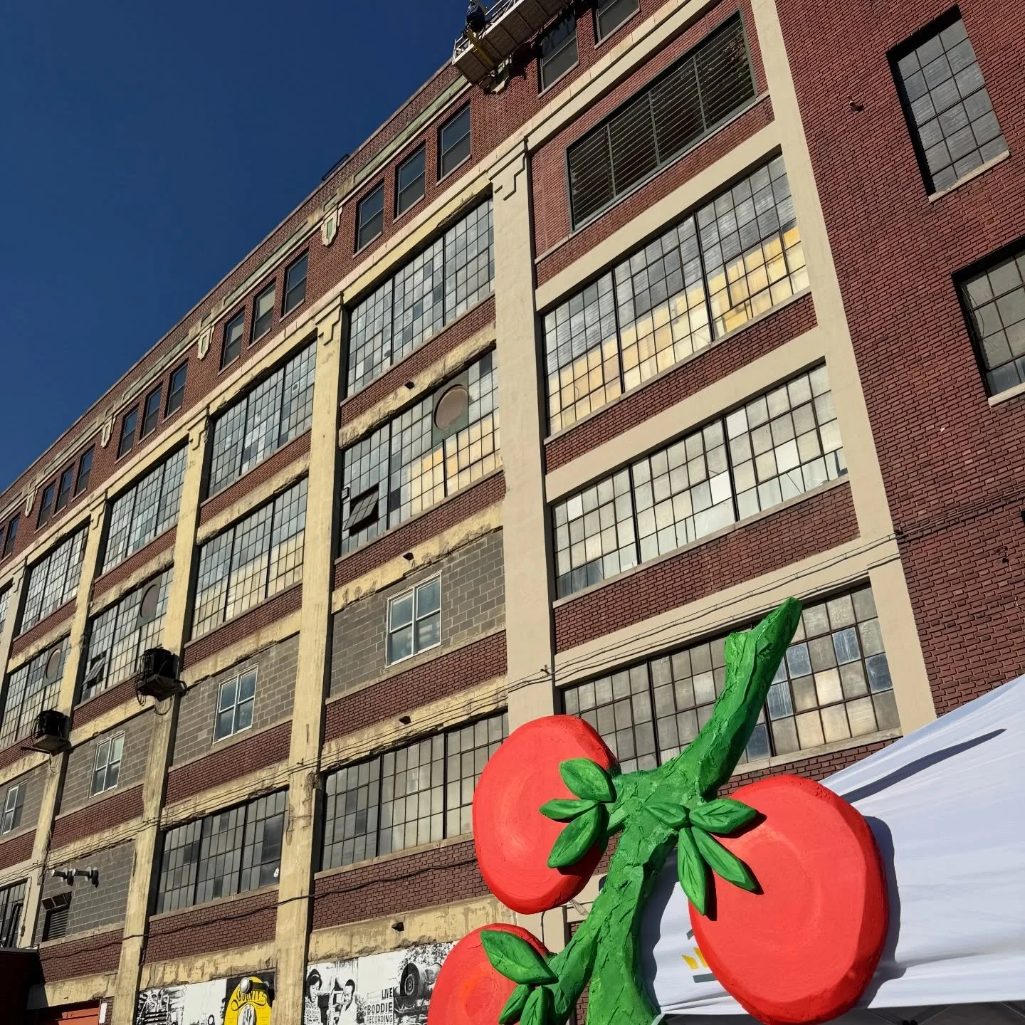 a little preview 🤭🤭 she is up and the weather is NIGHT AND DAY to yesterday here at Tyler village 🍅 warm, sunny, and no wind 🙏 

See yall today! 10a-4p 🍅
