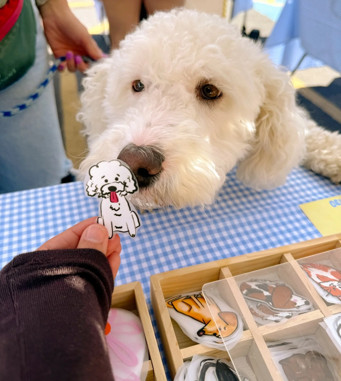yesterday was so full of smiles, giggles, puppies, amazing nail inspo and yapping (my fav) 🥹🥹

Also so so excited you guys loved the new hats and notebooks 🥹 always a special feeling to try something new and be met with an overwhelmingly positive 