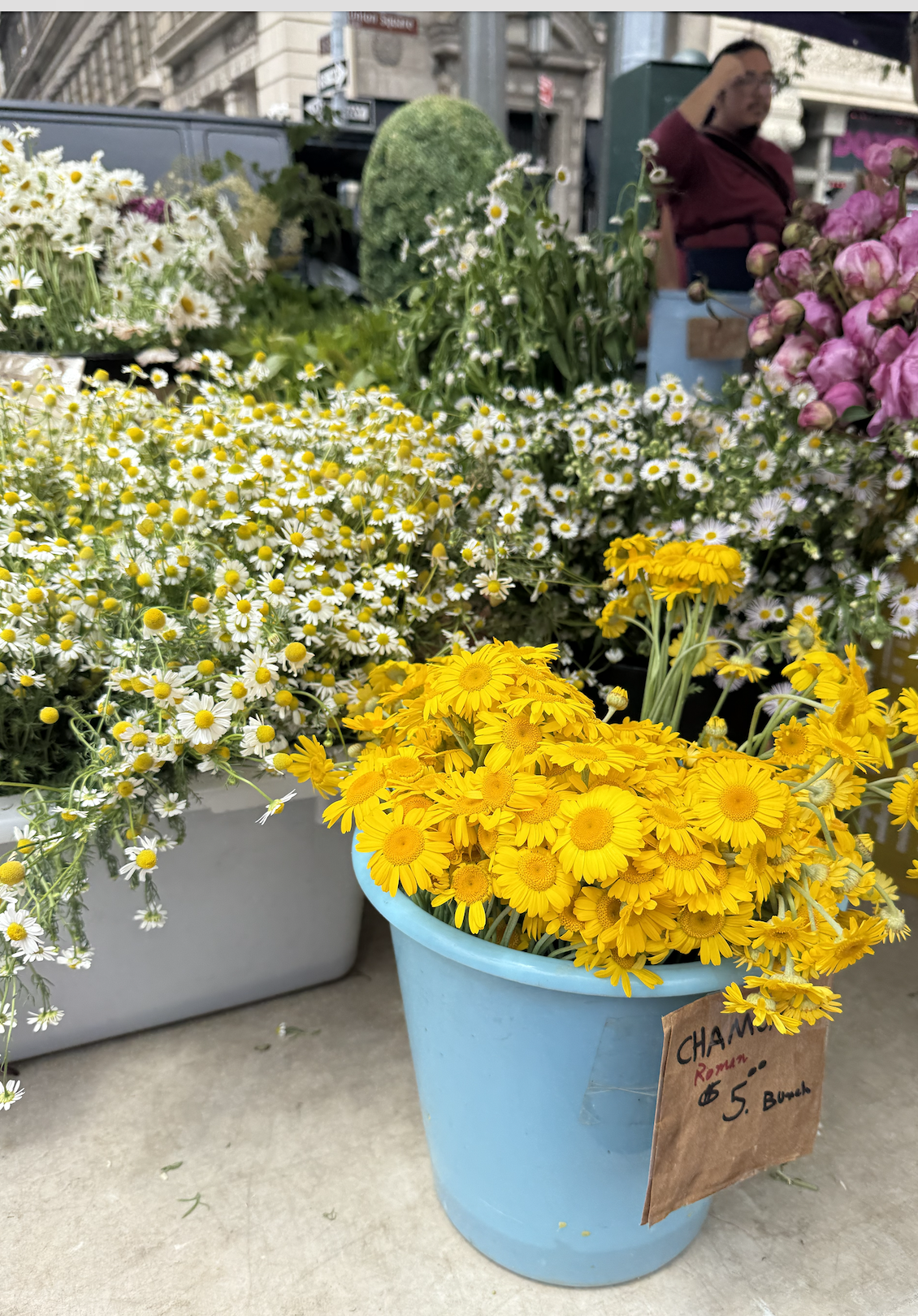 Yellow chamomile flowers in a blue pot at an outdoor market.