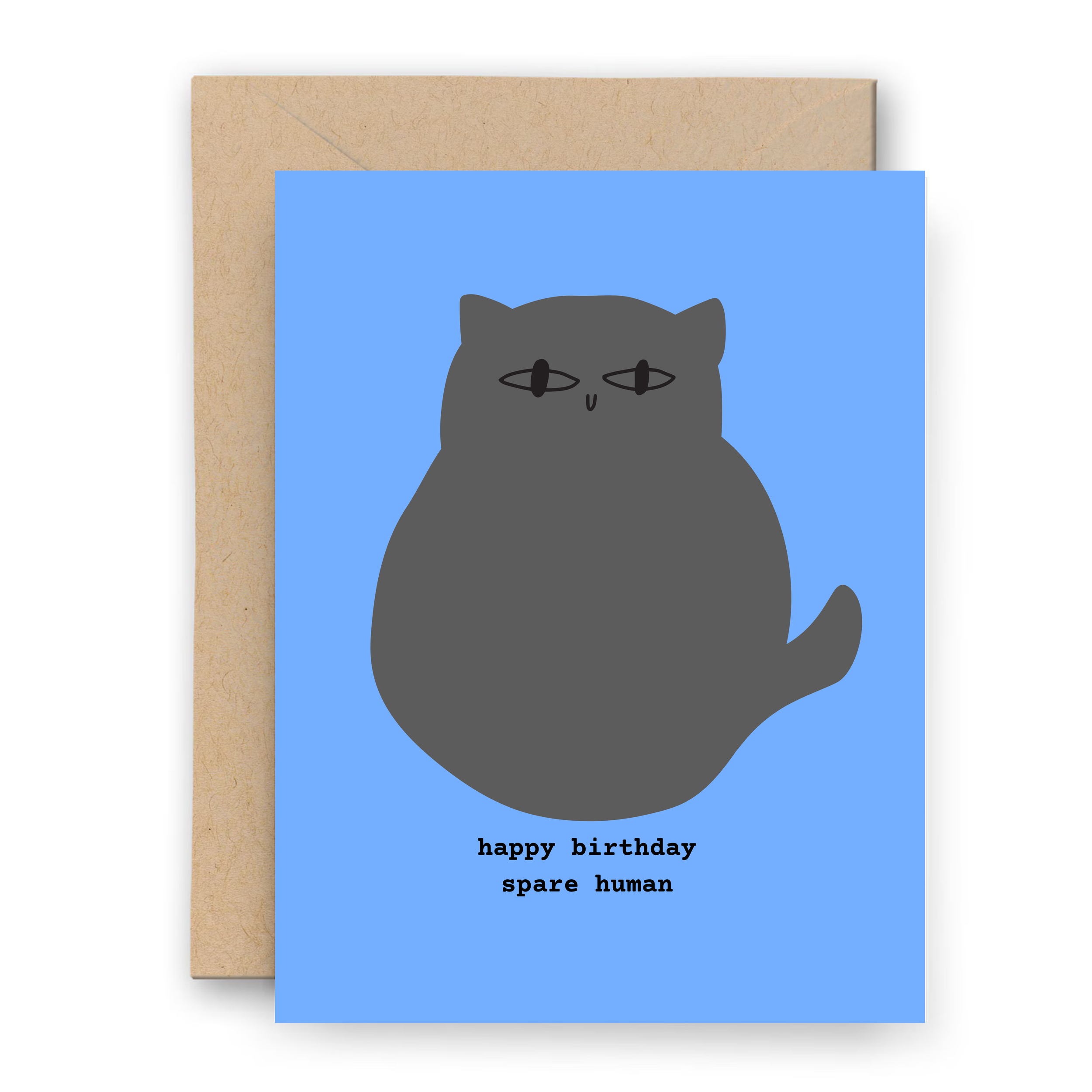 Grey Cat Birthday Celebration