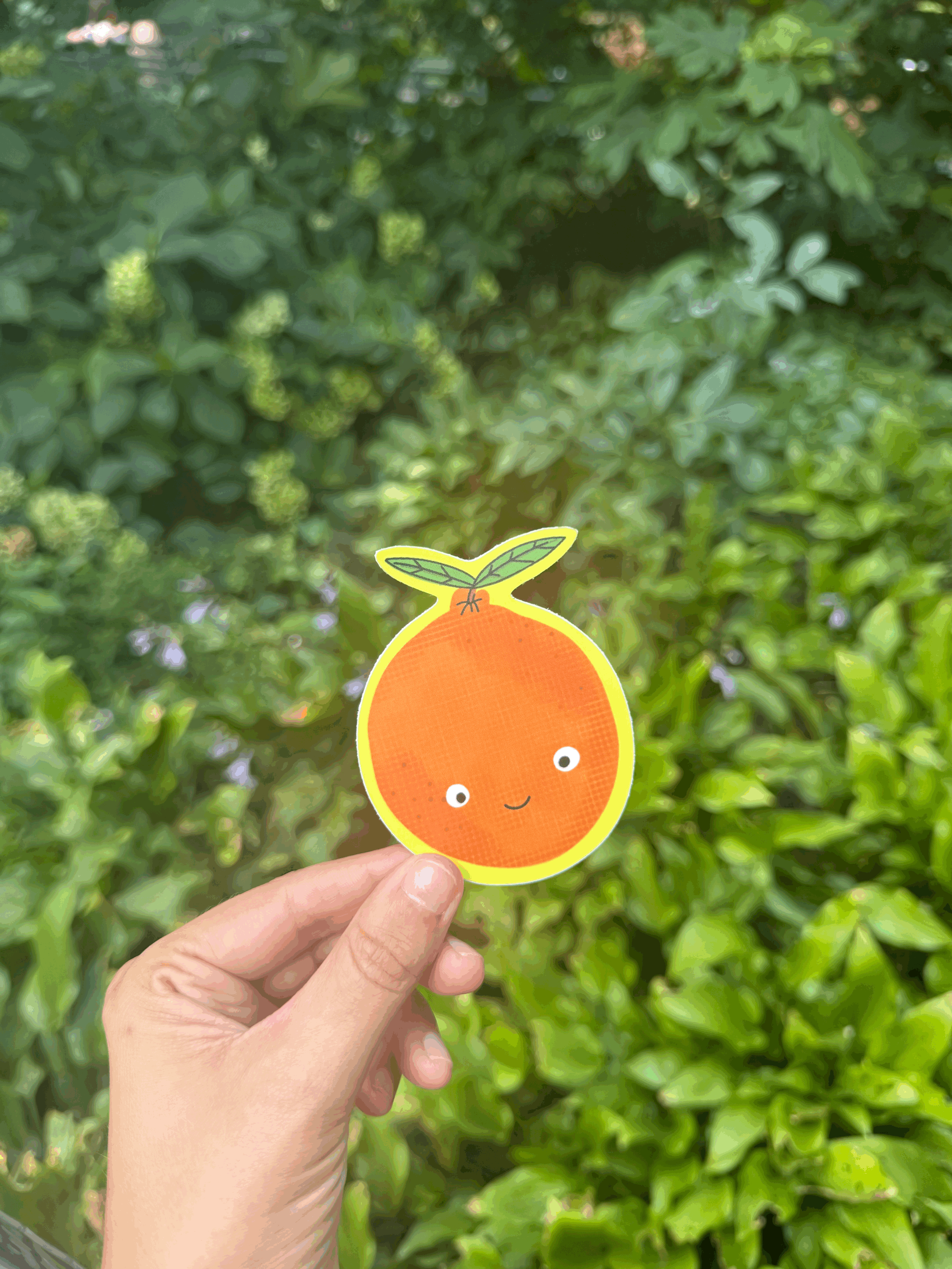 Clementine Orange Sticker