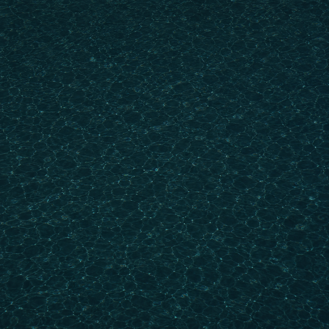 Disco Black Pool Colour