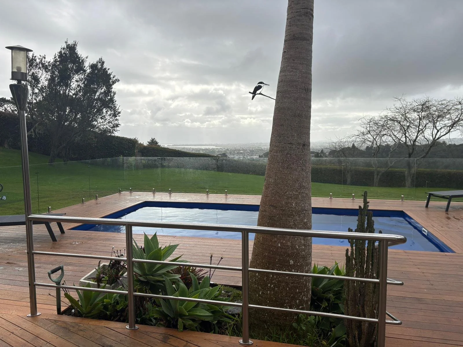 View of an outdoor pool on a wooden deck, surrounded by a glass fence, with a palm tree and plants in the foreground, and a grassy hill and cloudy sky in the background.