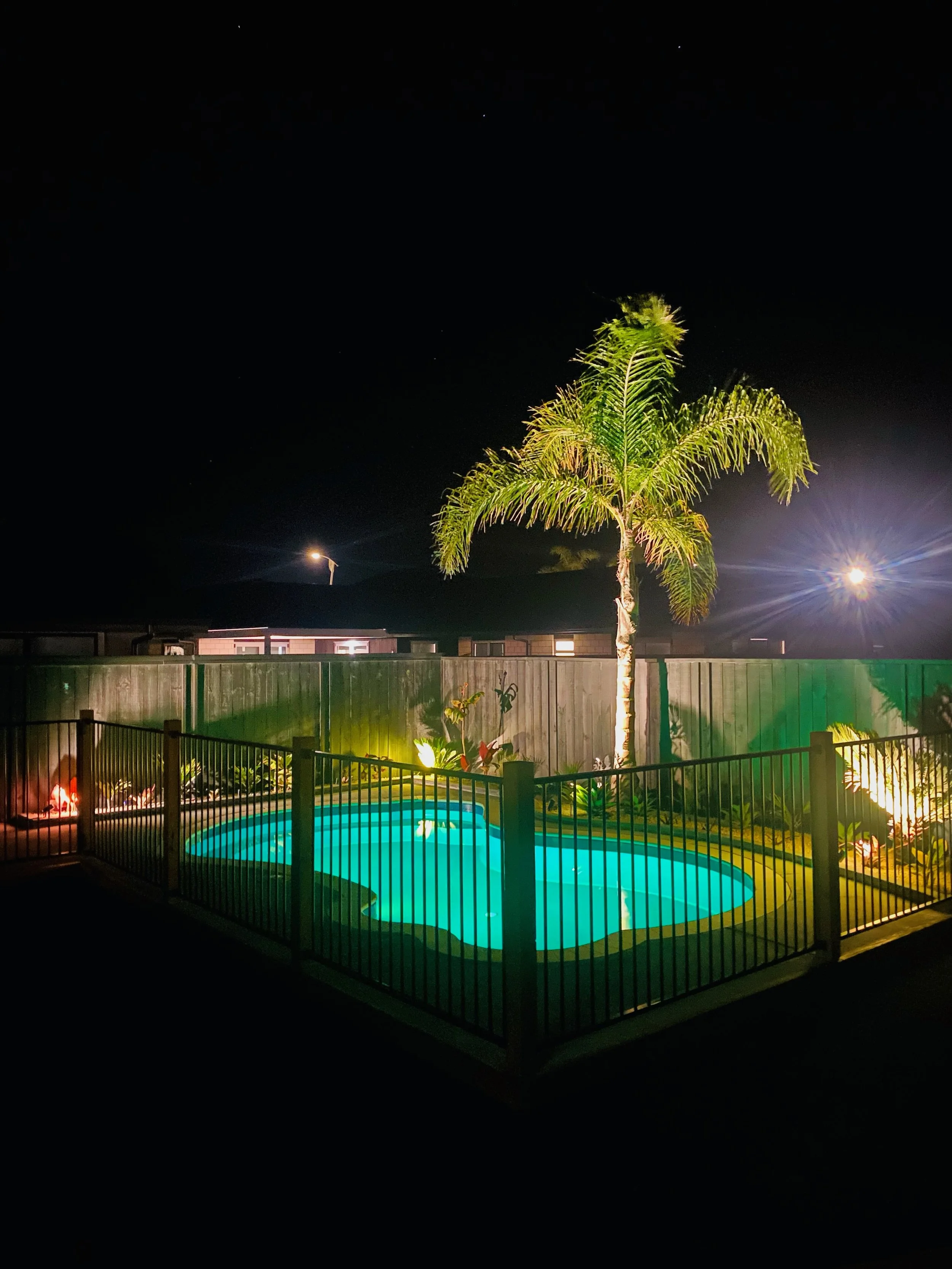 Nighttime scene of a fenced backyard with a lit swimming pool, a tall palm tree, and outdoor garden lights with a dark sky in the background.
