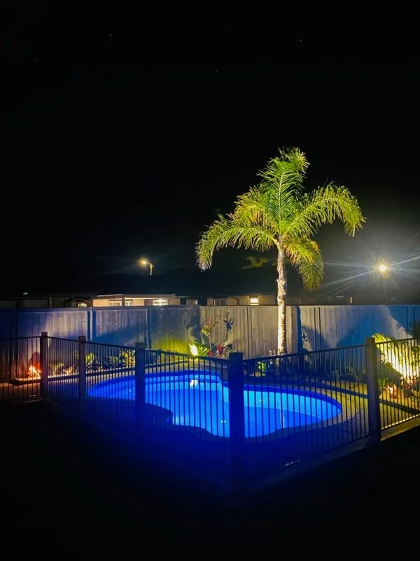 Nighttime backyard scene featuring a lit swimming pool with blue lights, a tall palm tree, and surrounding plants, with a dark sky and fence in the background.