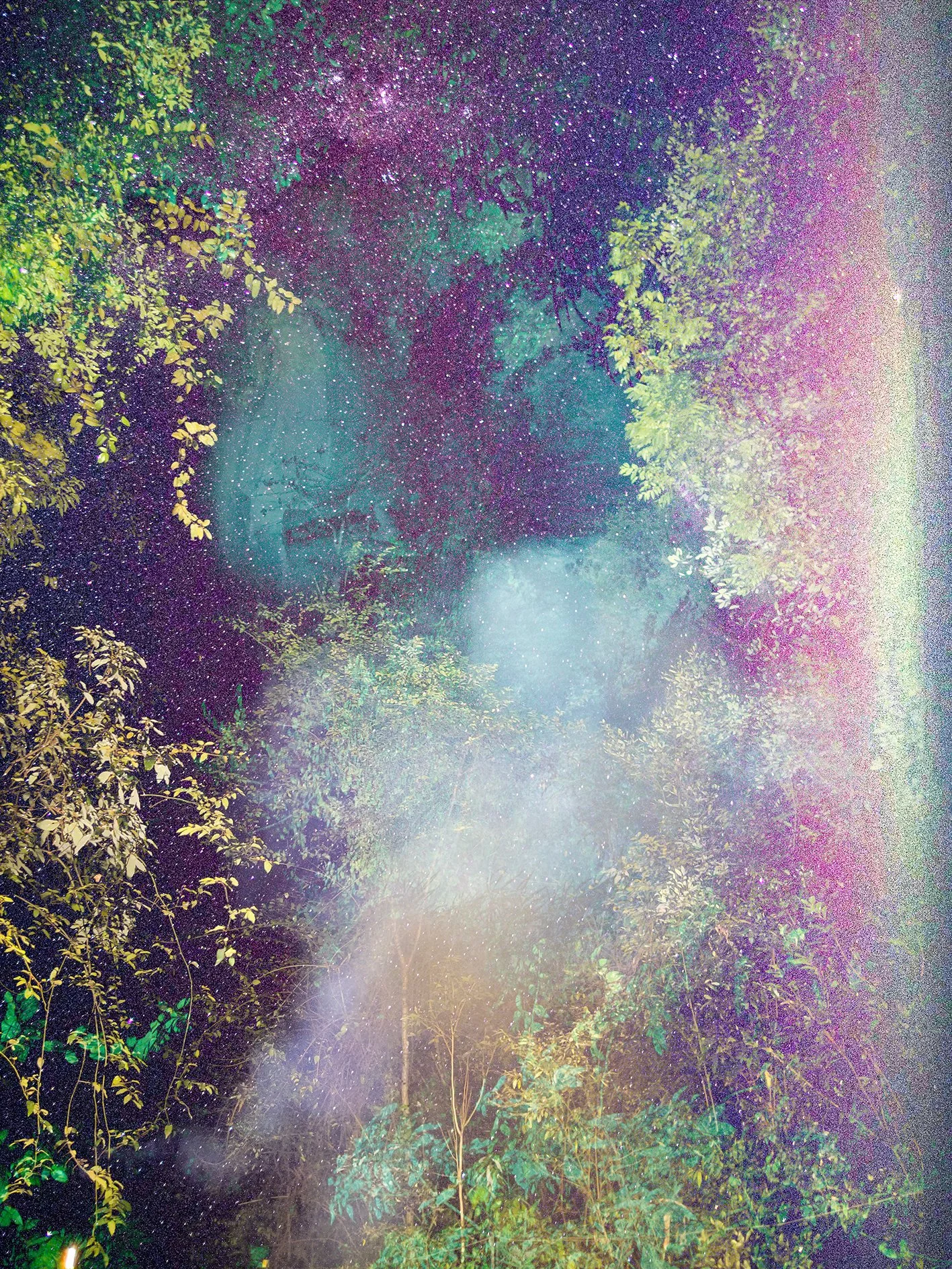 (detail) Everything else besides us, 2025.