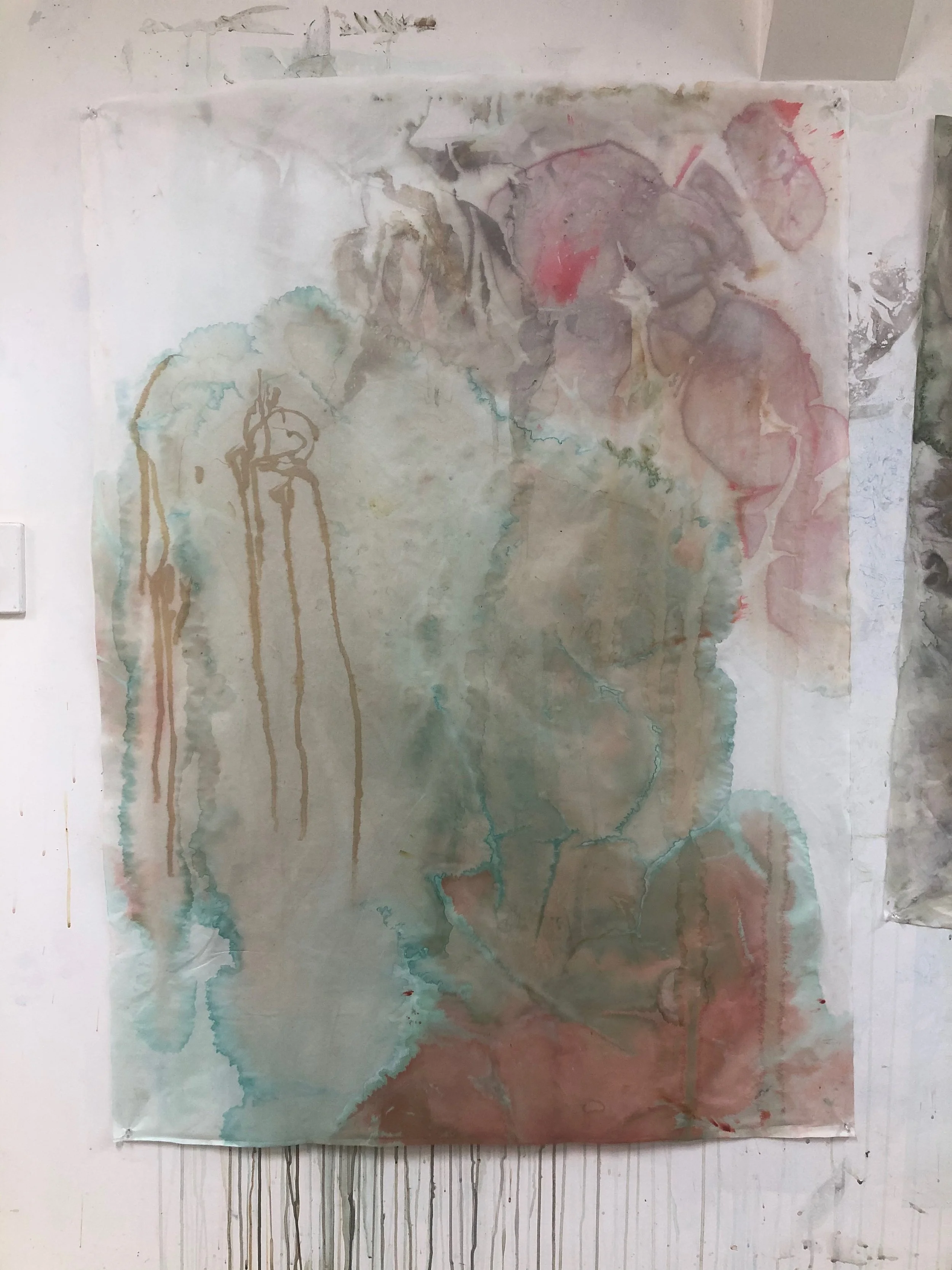 botanical inks and dyes.jpeg