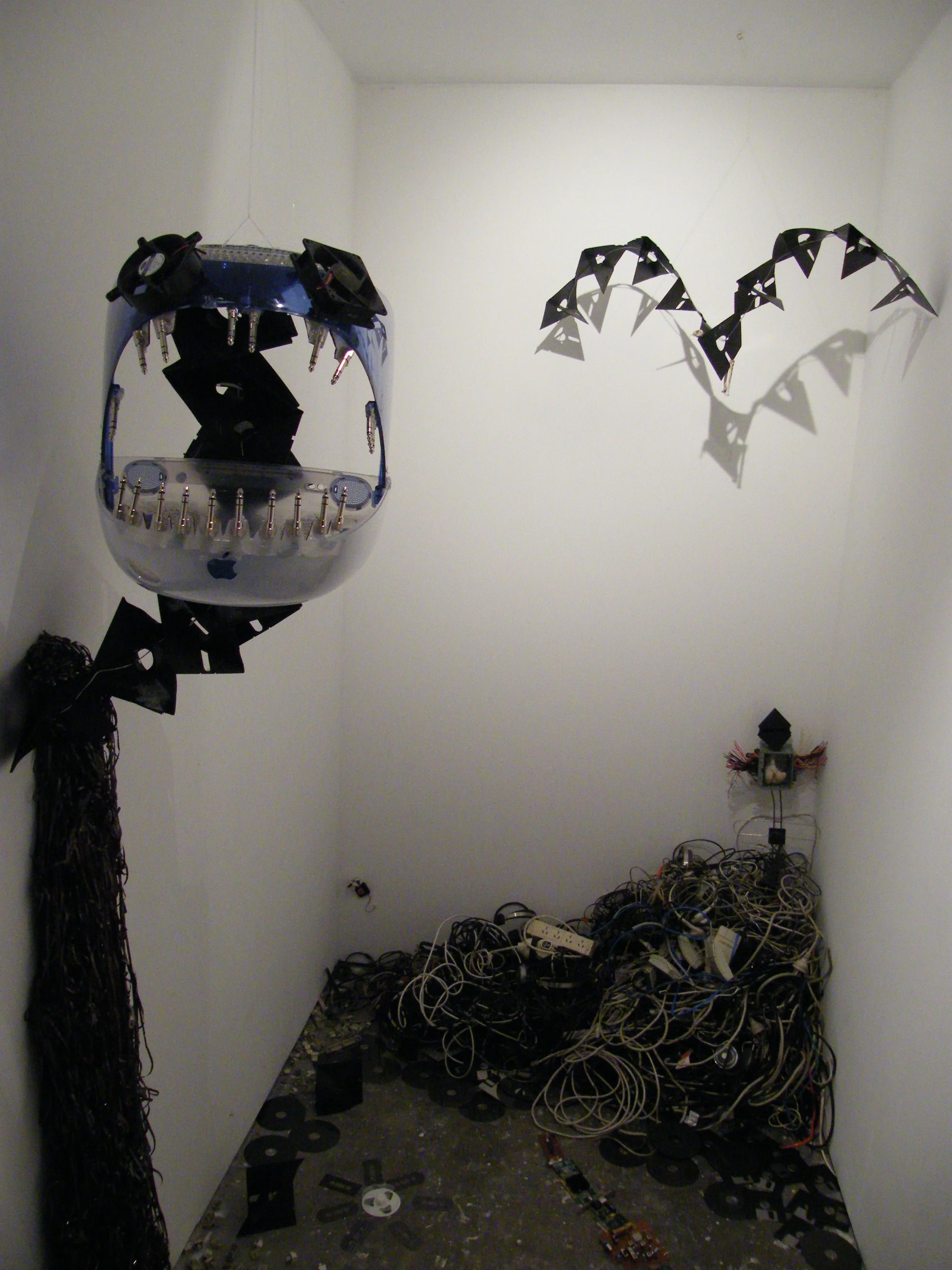 DSCF2697.jpg