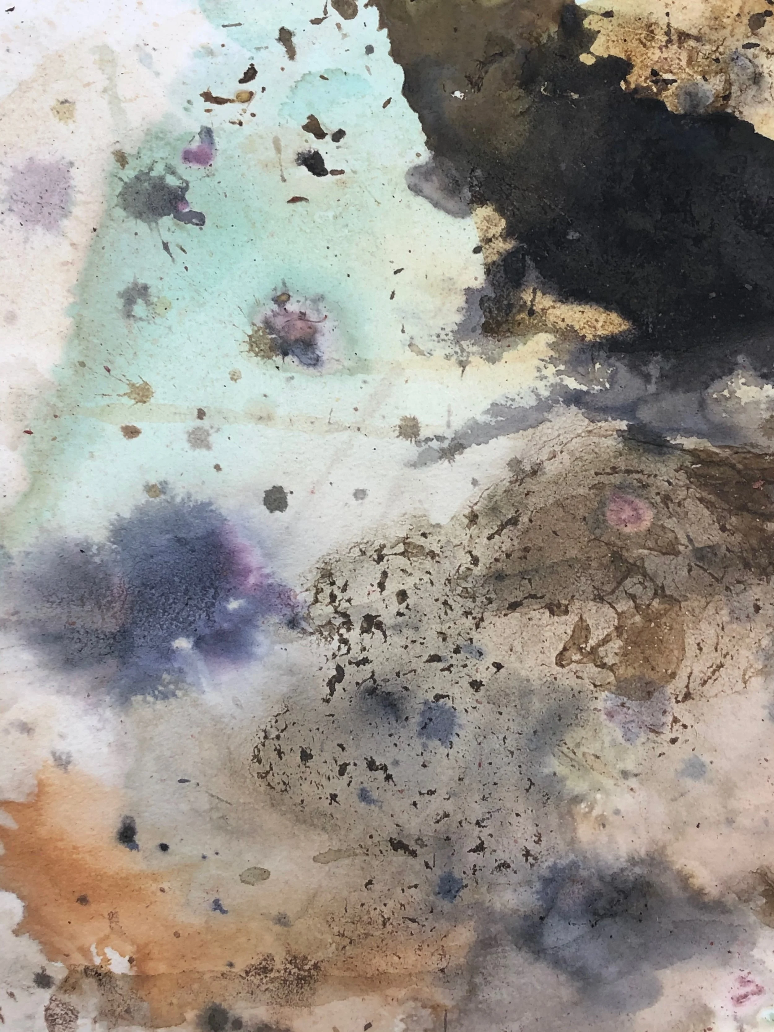 botanical inks and dyes.jpeg
