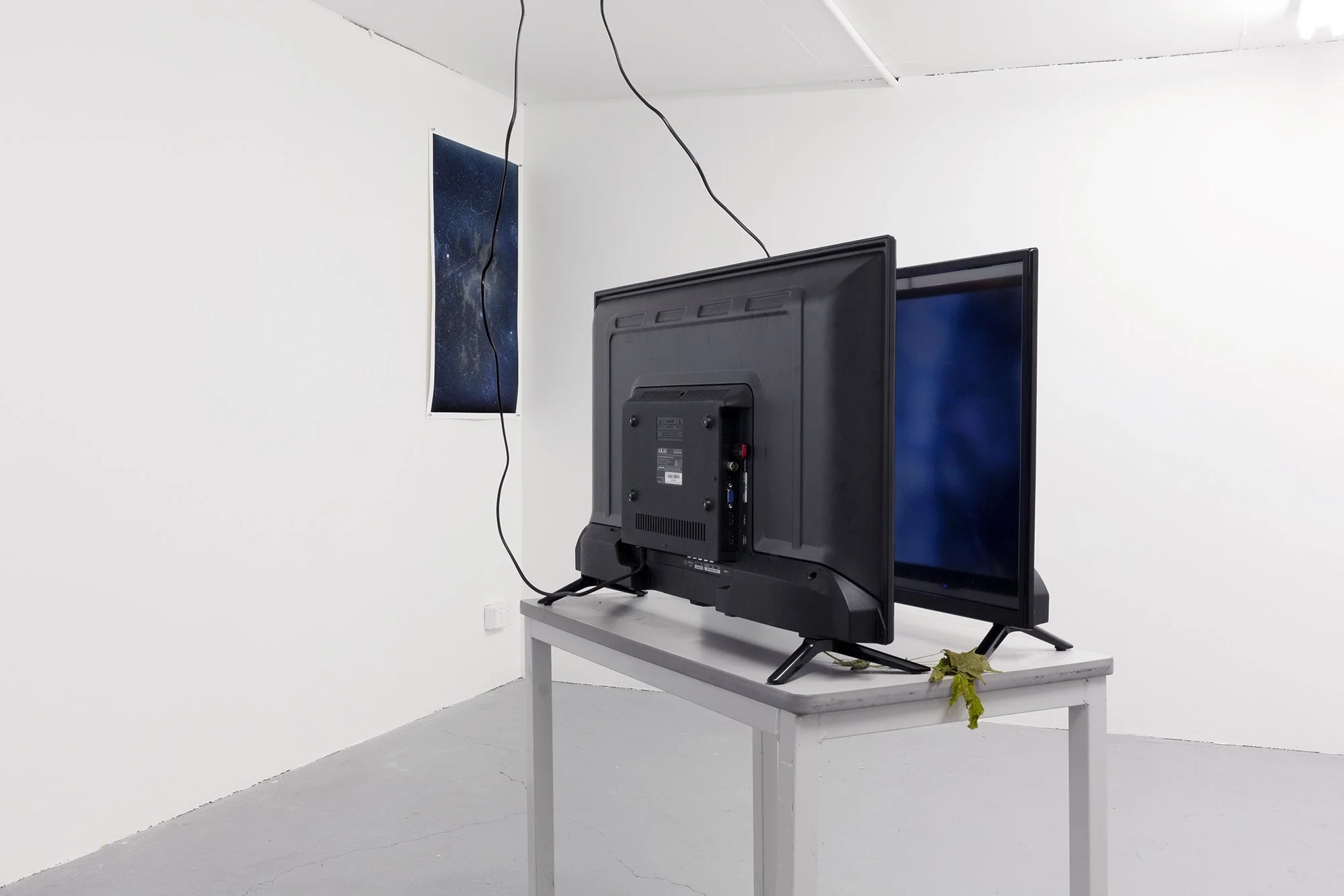 Installation image at Airspace Projects Marrickville NSW. {from left to right} 1] Tara Gilbee, Murmur (4) 2023, Solar graphic recording on silver gelatin paper printed on Cotton Rag 594w x 841h mm approx. Private Collection. 2] Forest telephonists, C