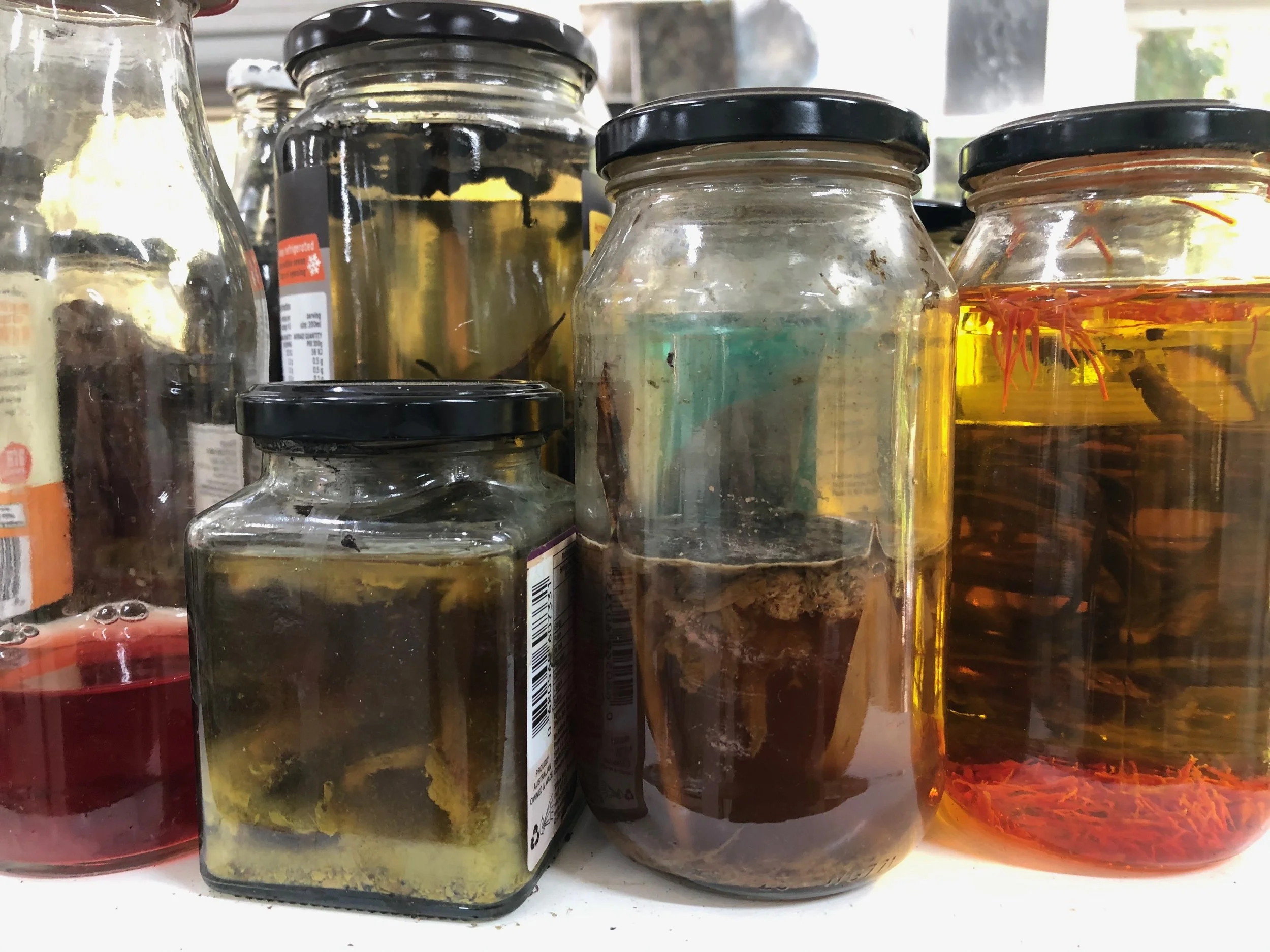 botanical inks and dyes.jpeg