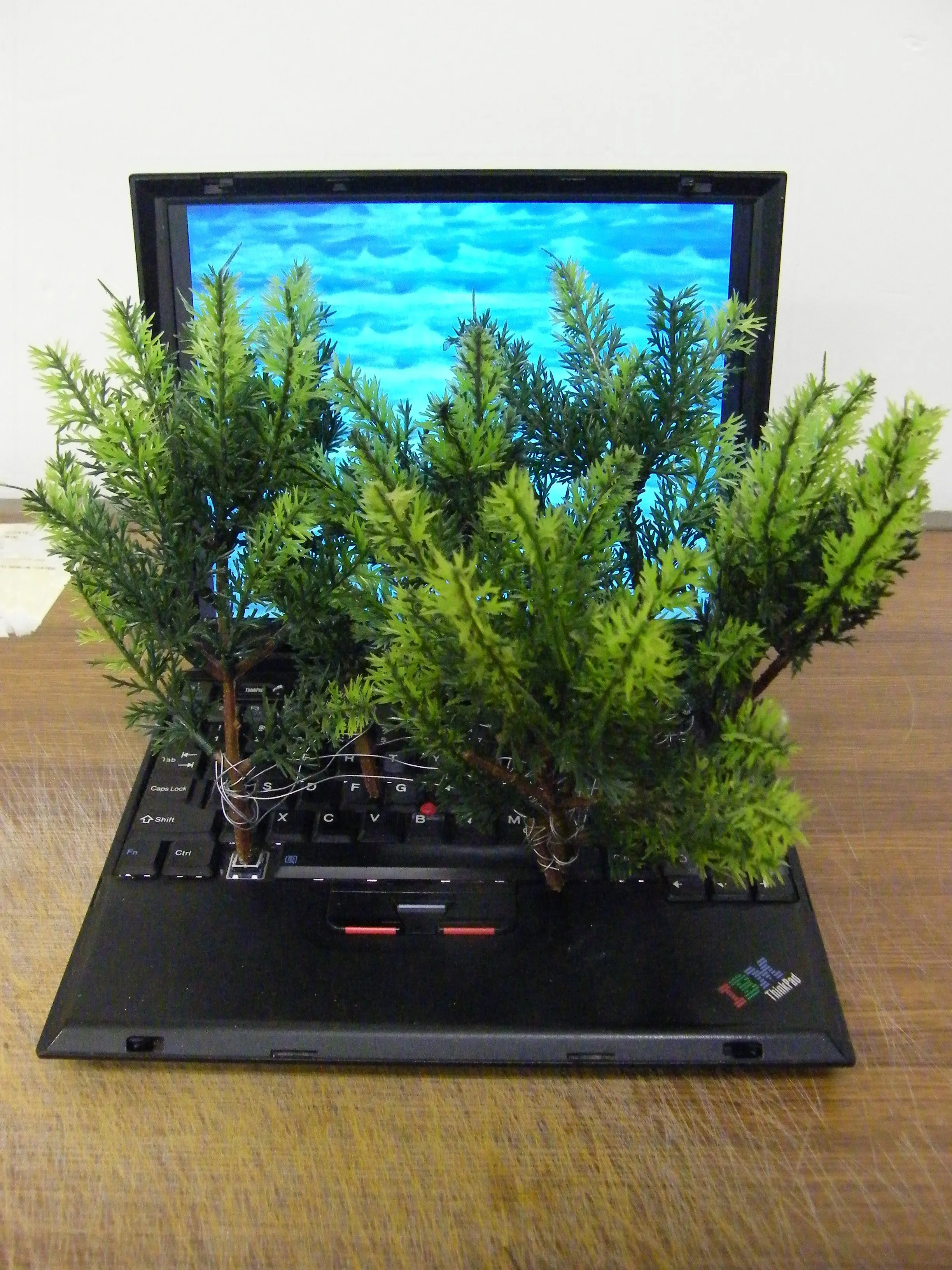 DSCF1858.jpg
