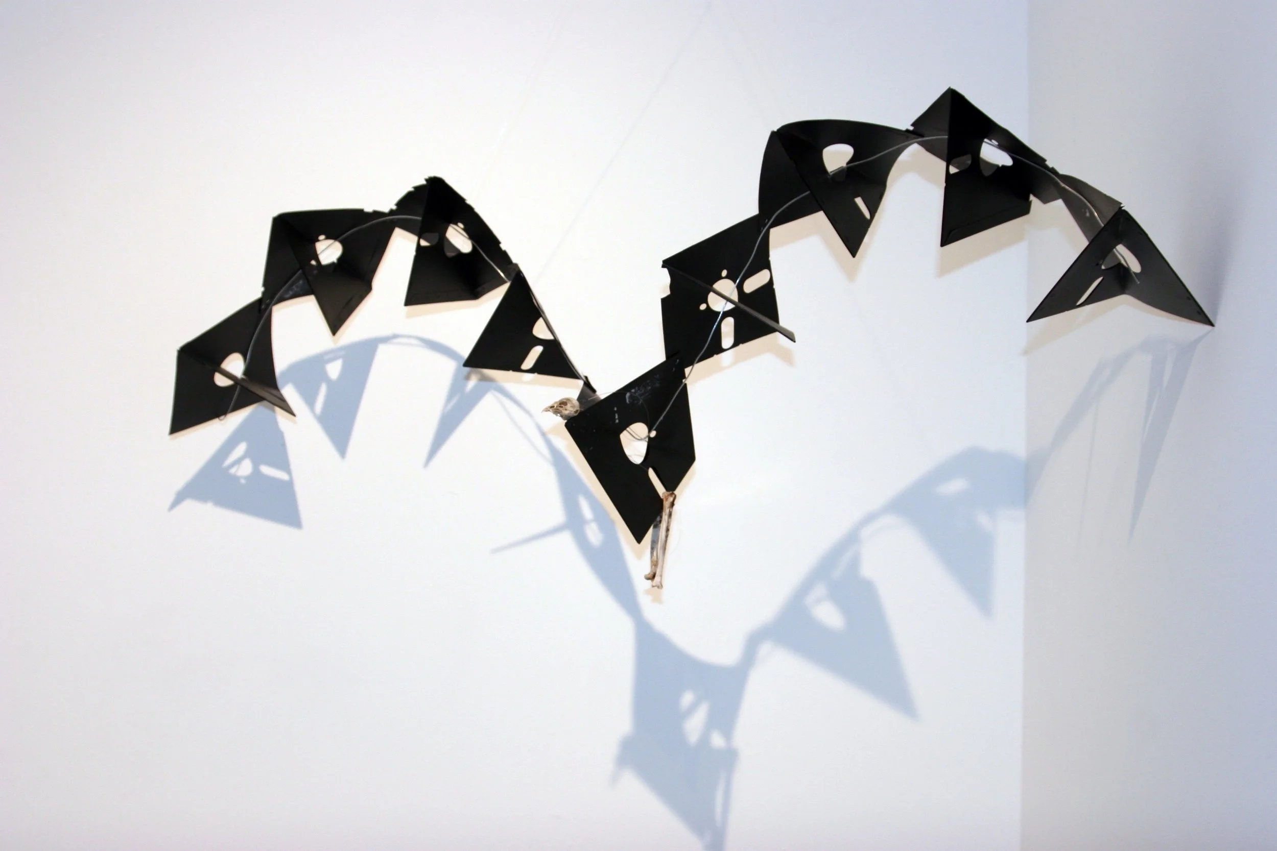 IMG_3924.jpg