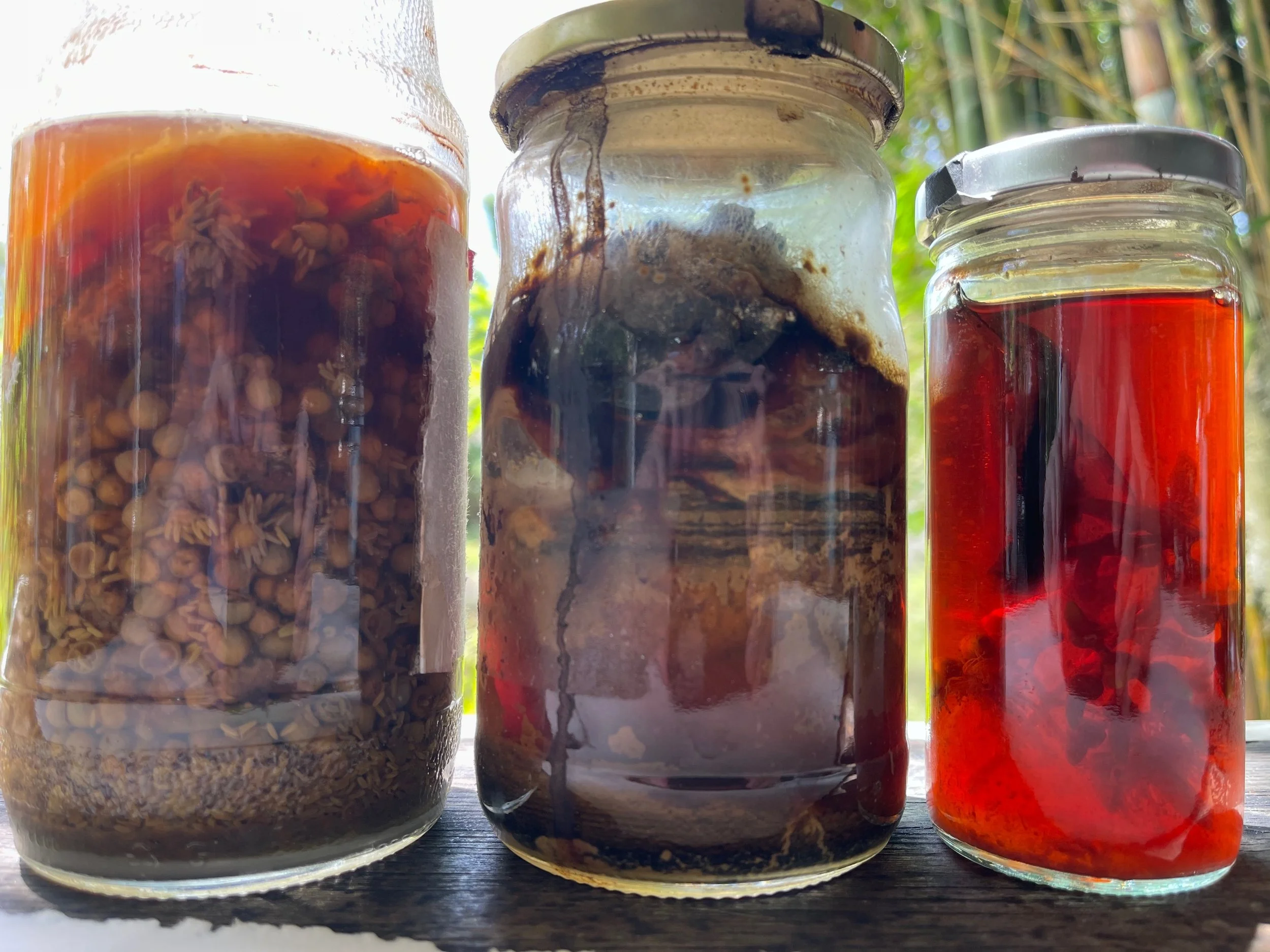 botanical inks and dyes.jpeg