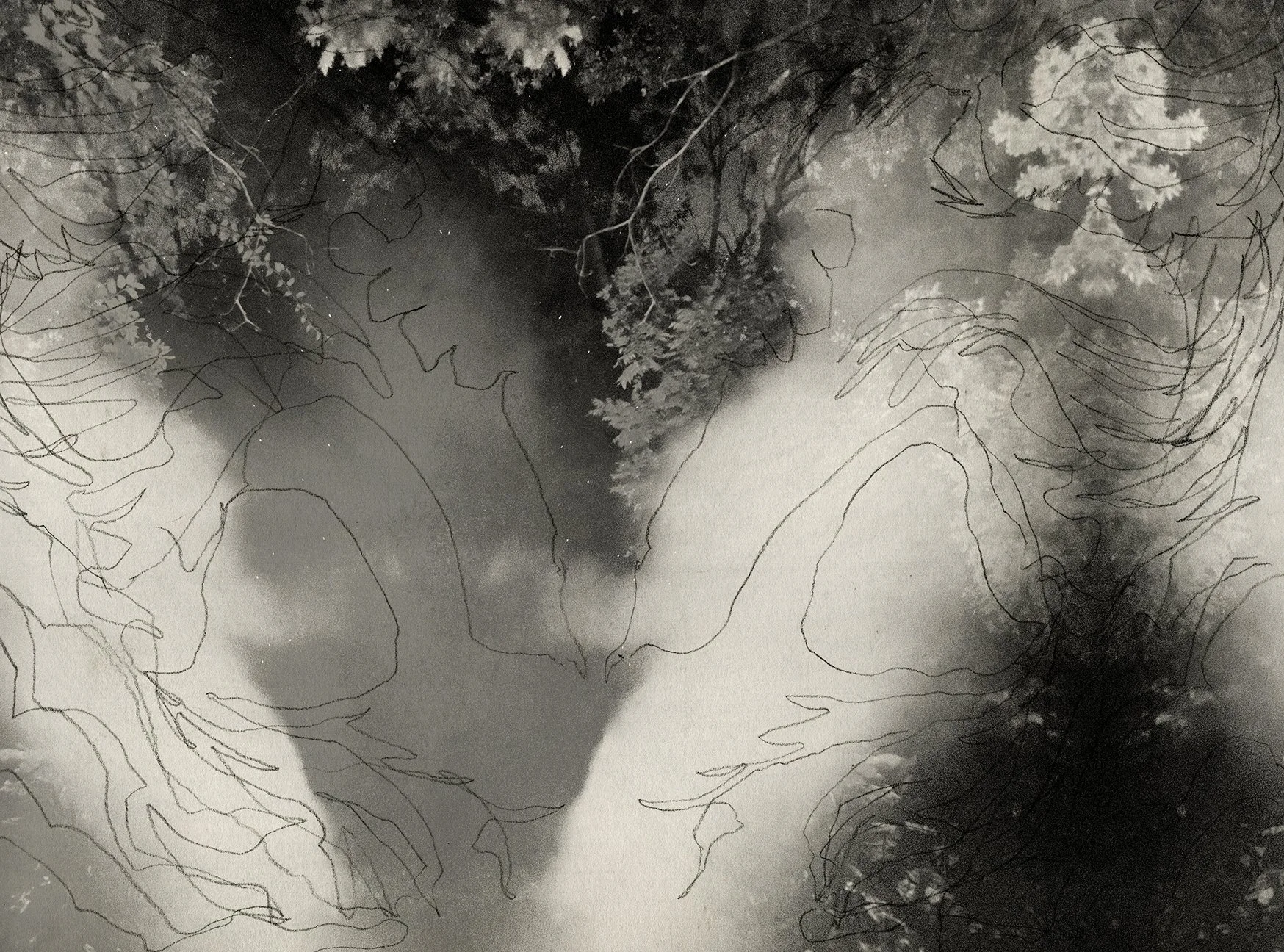 Layered photograph and drawing showing blurred forest forms and body outlines, black and white