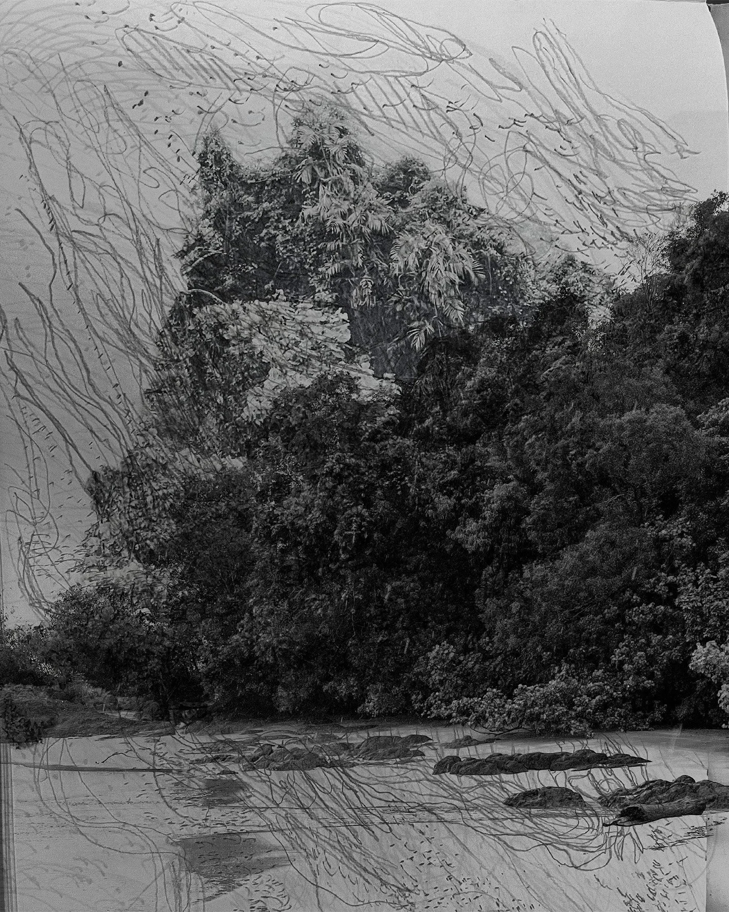 overlaid images of coastal forest line forming ambiguous figure with bilateral gestrual graphite drawing inlaid